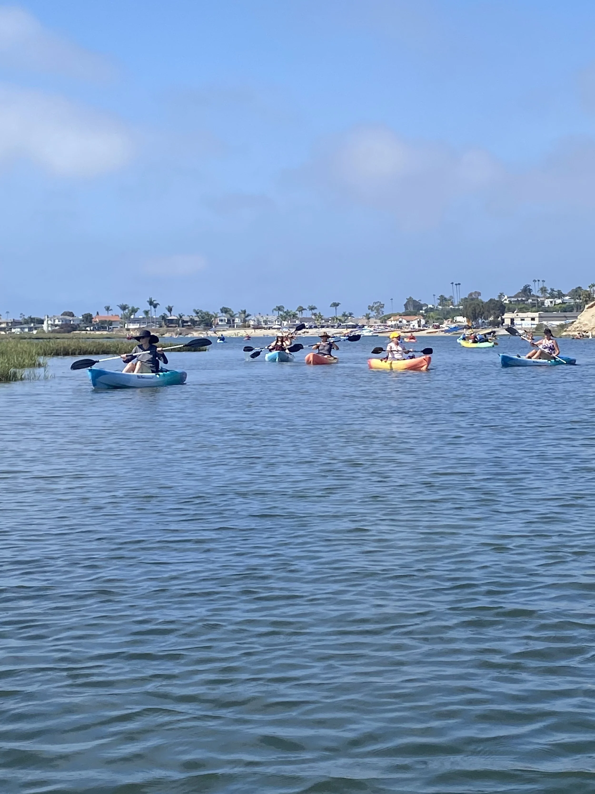 IMG_0630.jpeg
