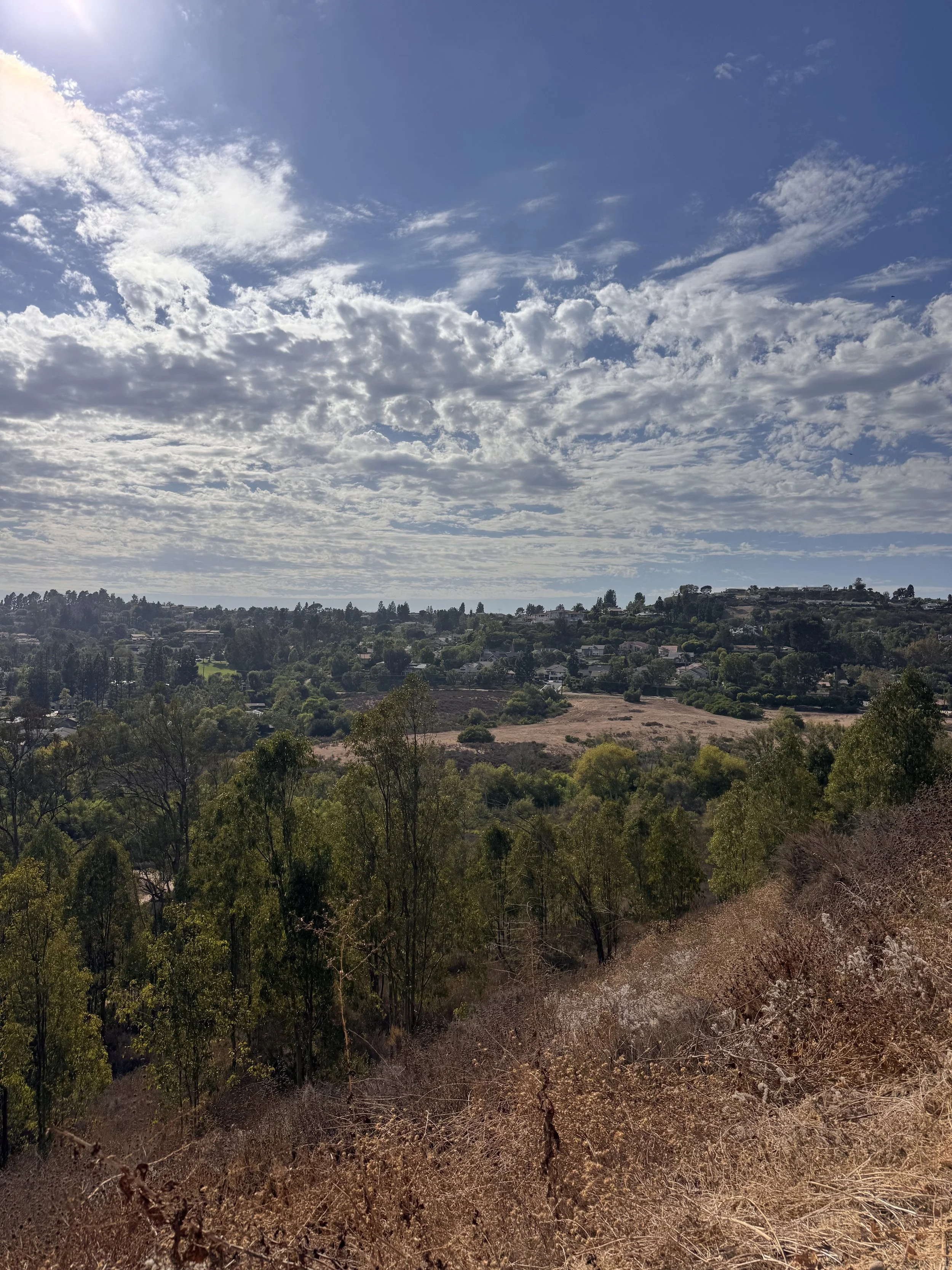 IMG_3390.jpeg