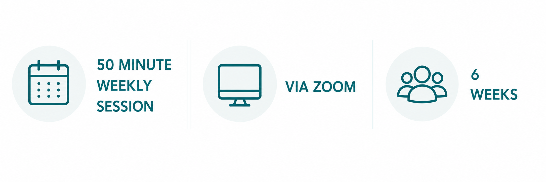 Information graphic about virtual therapy sessions: 50-minute weekly sessions via Zoom for 6 weeks.