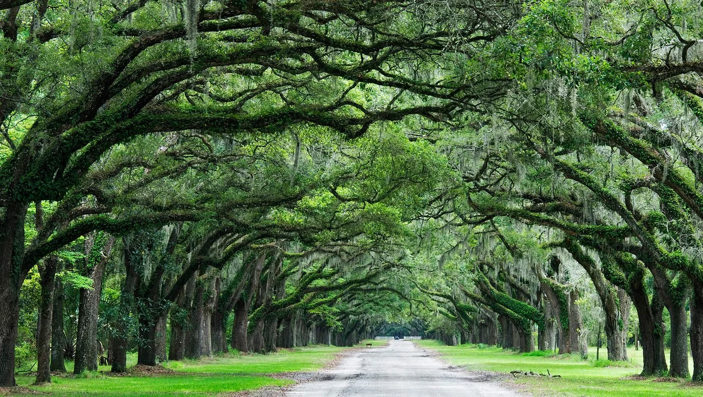 Fall Seed Exchange - Wormsloe State Historic Site