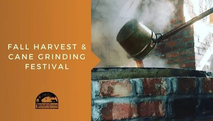 Harvest Festival and Cane Grinding 2026 - Oatland Island Wildlife Center