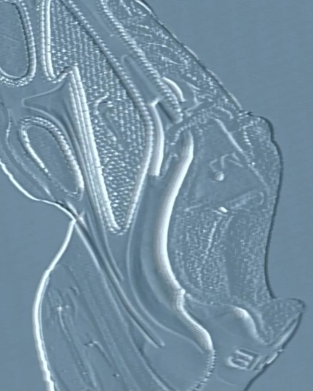 539947548_18525913720050040_2532924435553630476_n.jpg
