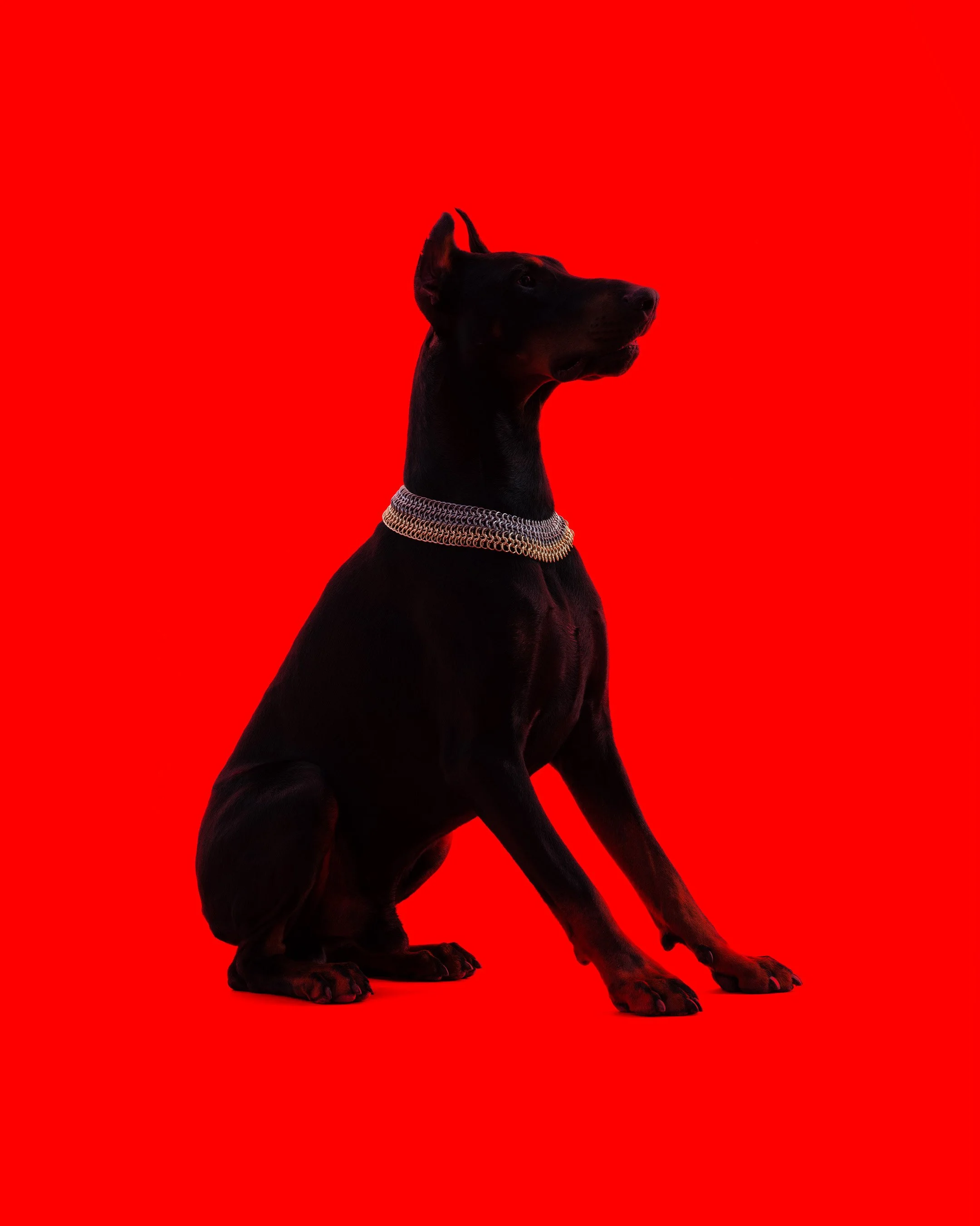 2160x2700_GODS8116.jpg