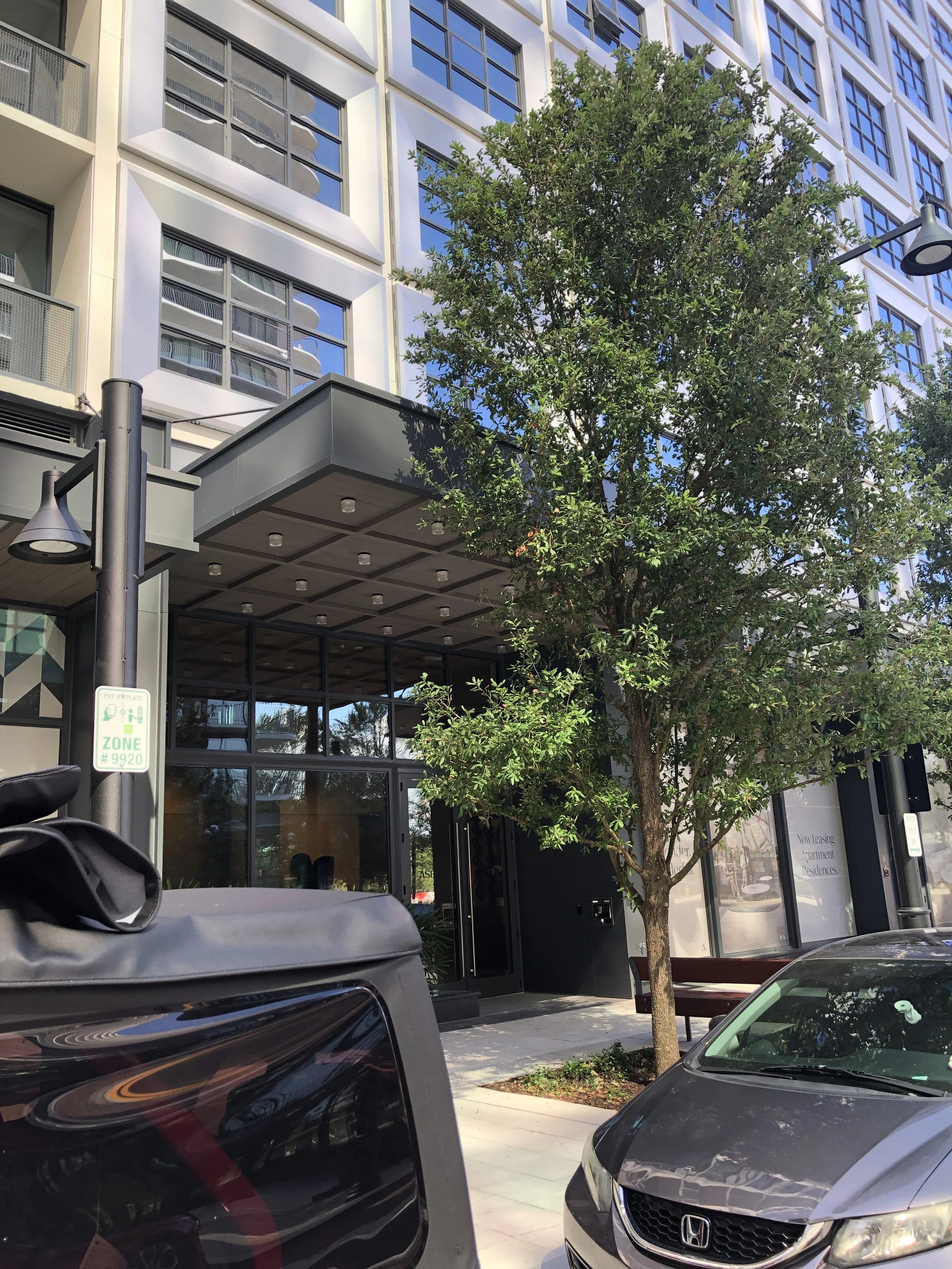 A city street scene with parked cars, a tree, and a tall modern building with reflective windows and balconies.
