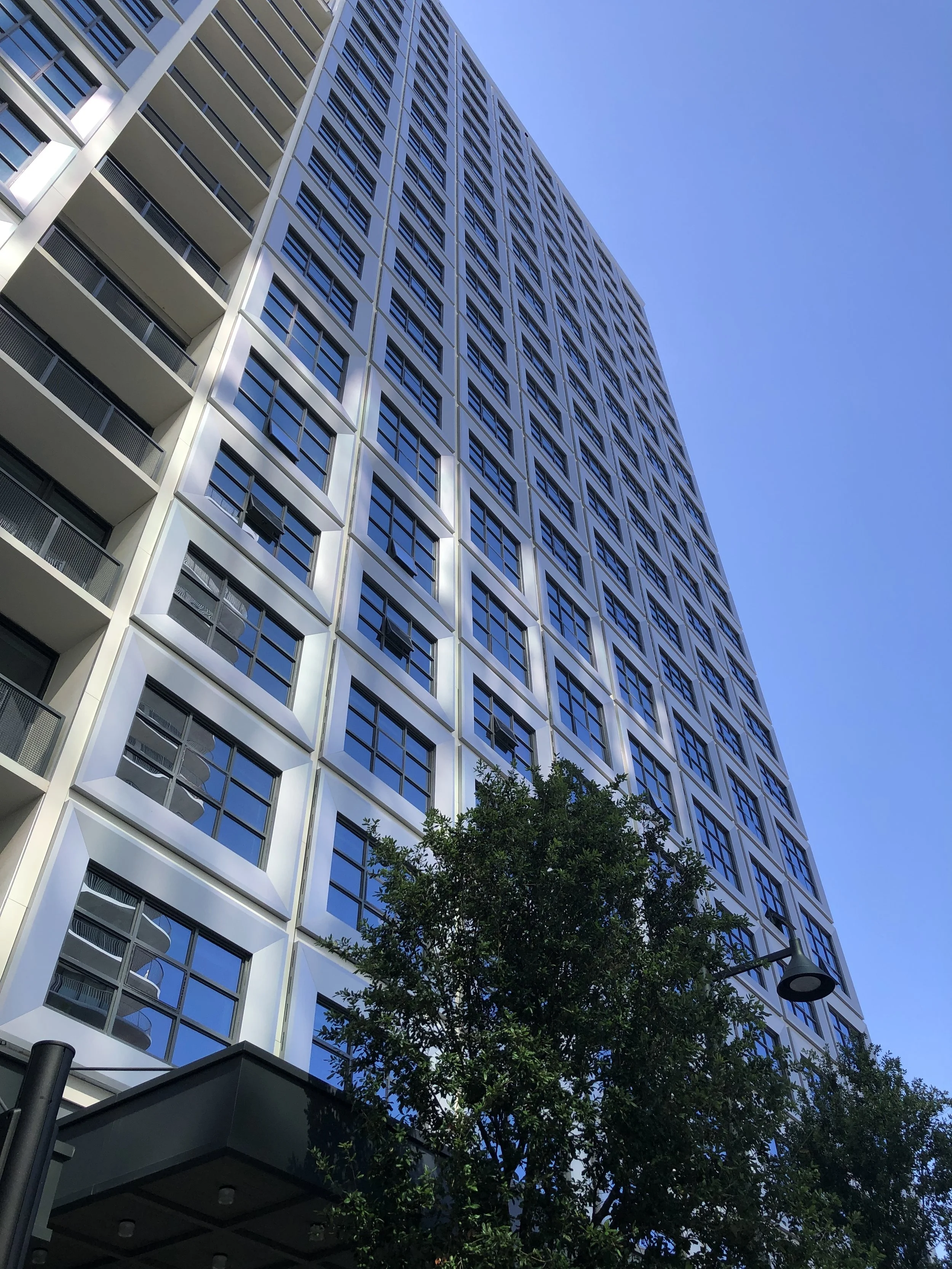 Low-angle view of a tall modern building with numerous windows and balconies, a tree in the foreground, and a clear blue sky in the background.