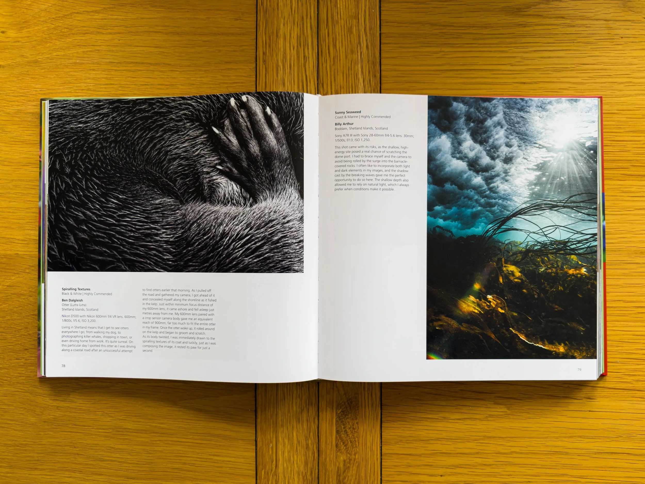 'Spiralling Textures' accompanied by Shetland based underwater photographer Billy Arthurs 'Sunny Seaweed'.