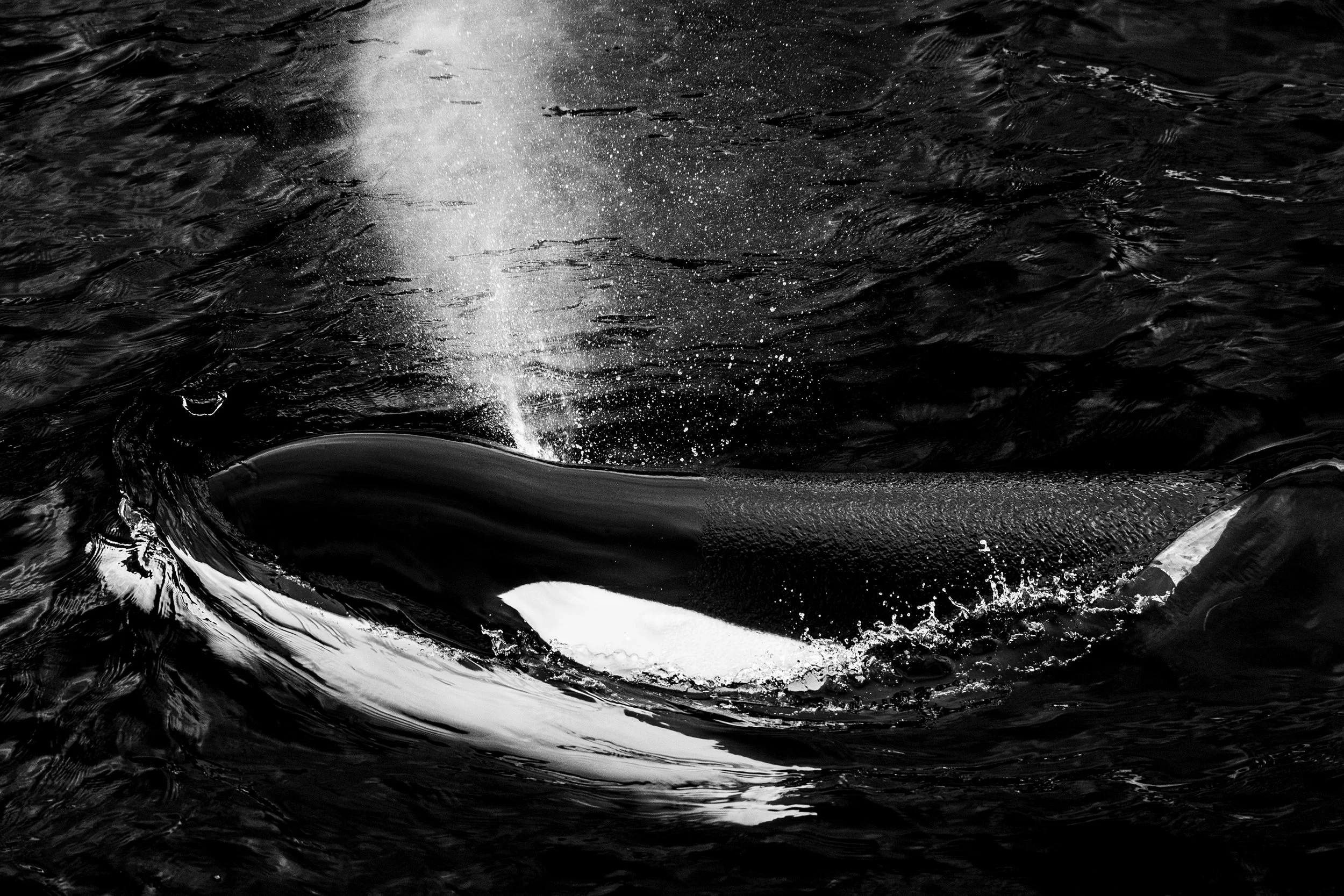 A close-up black and white photograph of water with waves and splashes, possibly from a boat or similar watercraft.