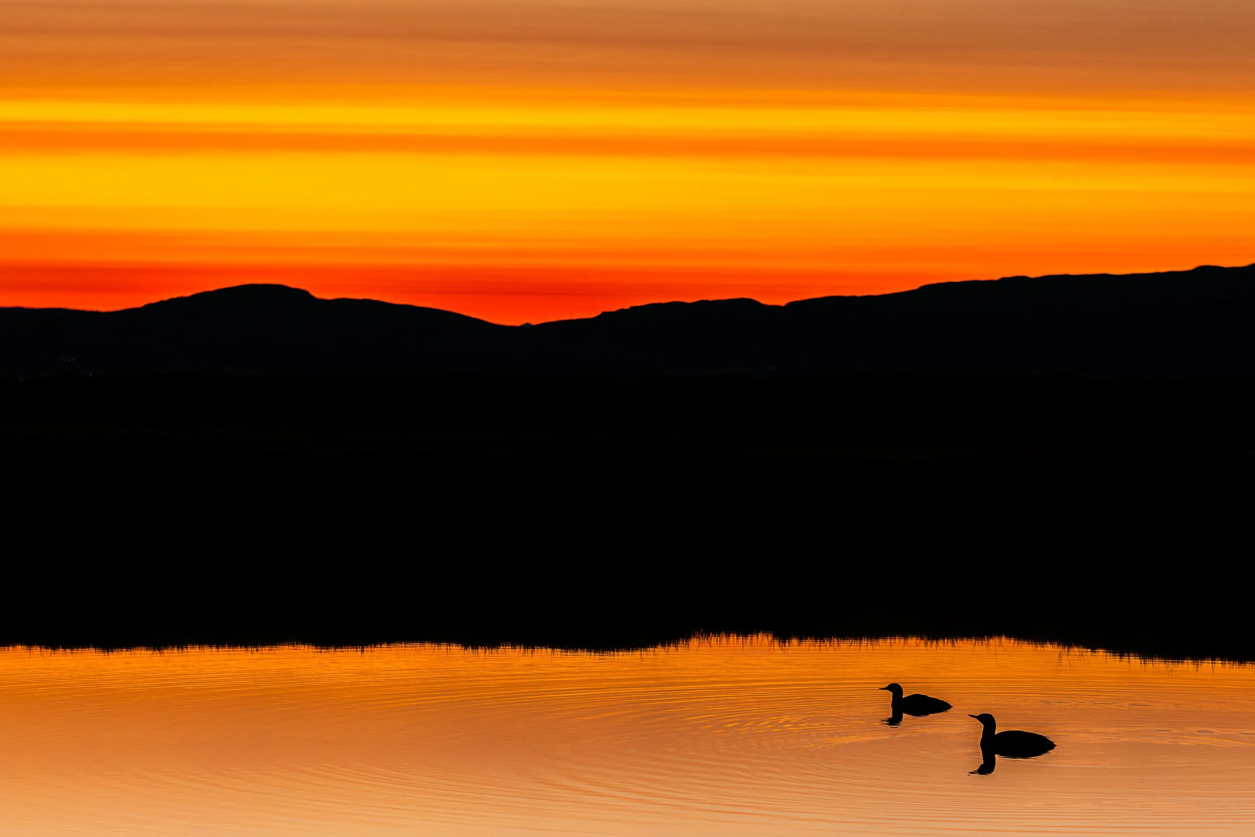 A sunset over water with the silhouette of ducks swimming, and hills in the background.
