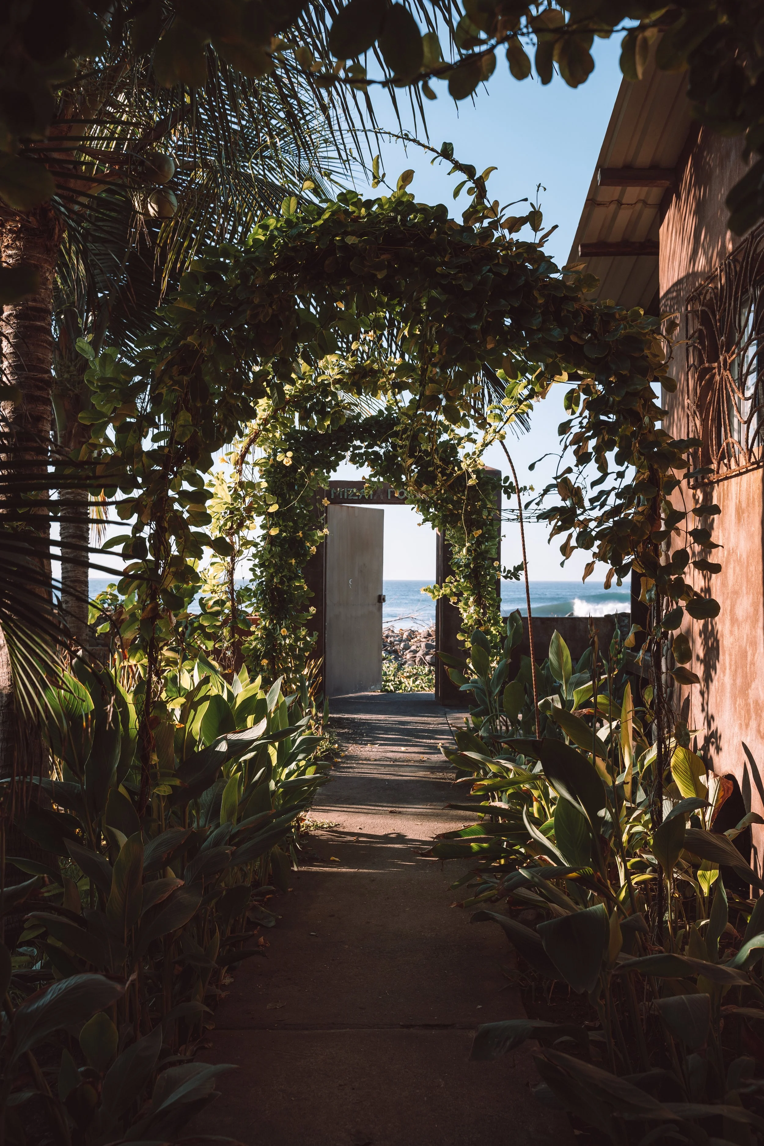 A pathway lined with lush green plants and shrubs, leading to the ocean with waves visible in the background. A wooden door is partially visible on the right side, and the sky is clear and blue.