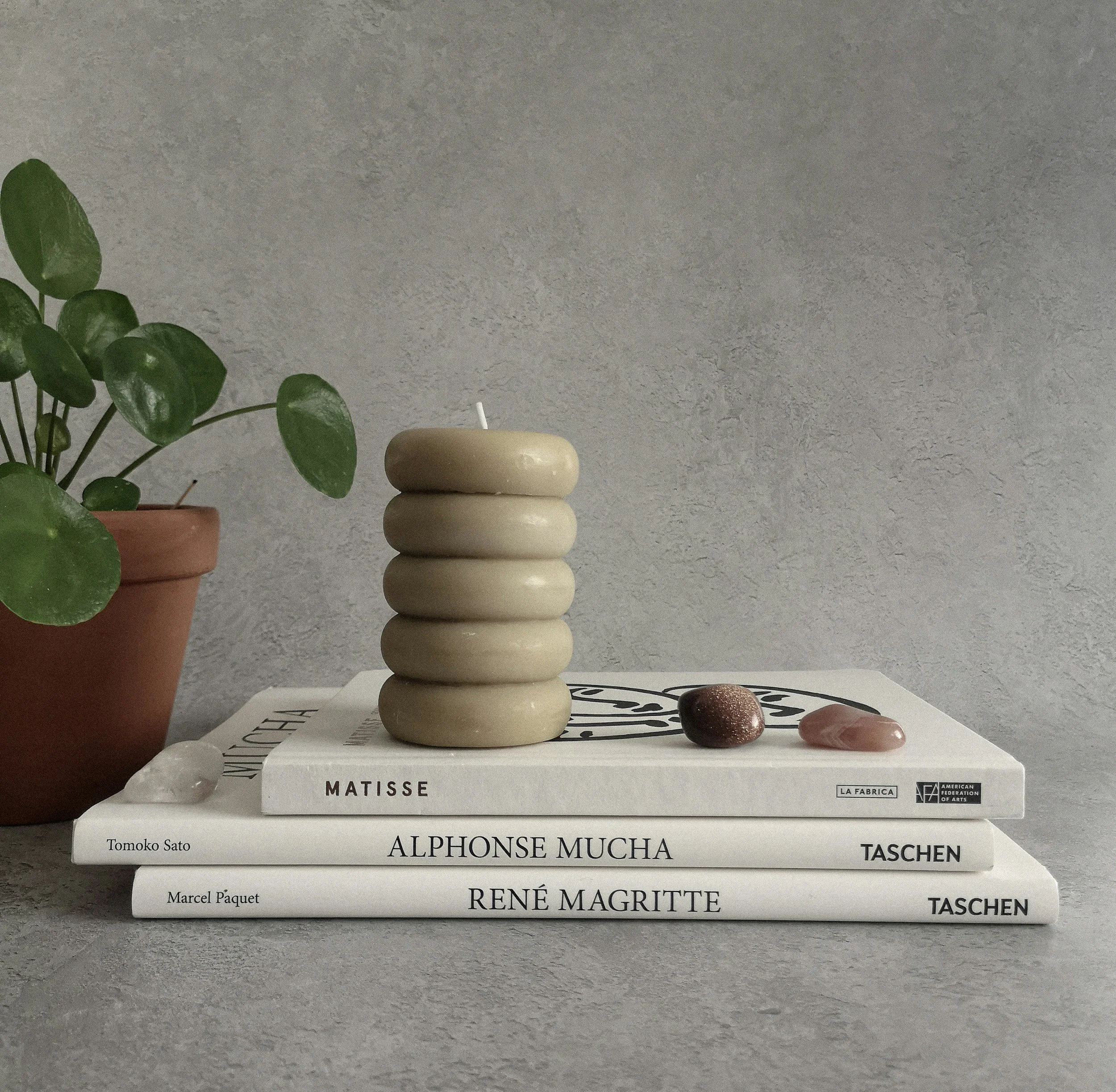 Stack of three books titled 'Alphonse Mucha,' 'René Magritte,' and unidentified, placed on a gray surface. To the left, a potted plant with large green leaves is partially visible. In the background, a gray textured wall.