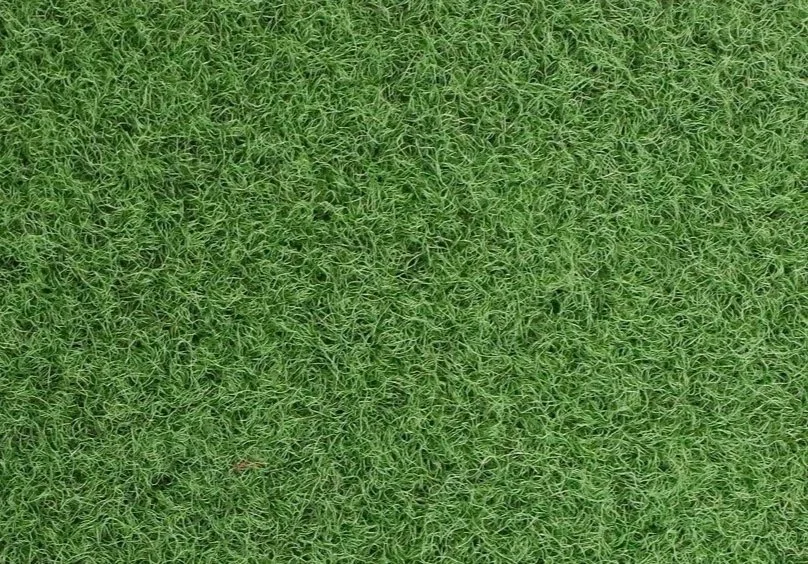 SurfacePlay Sward