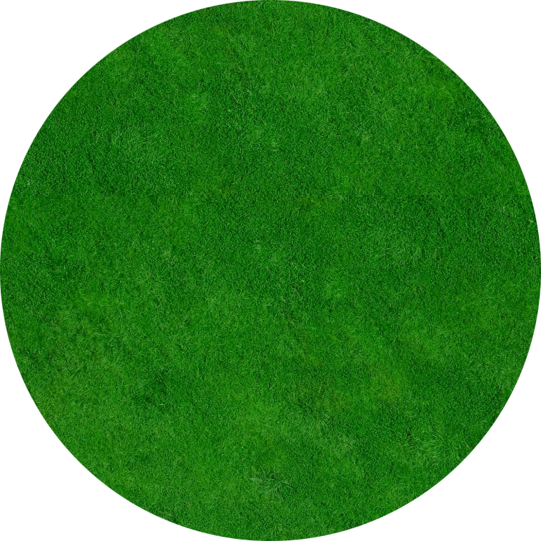 Grass Green
