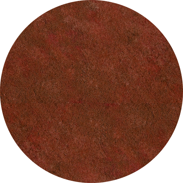 Terracotta