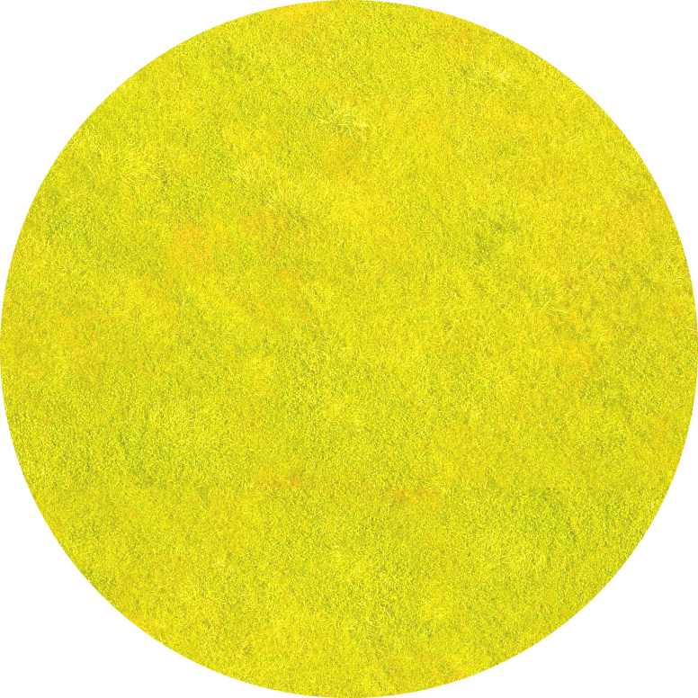 Vivid Yellow