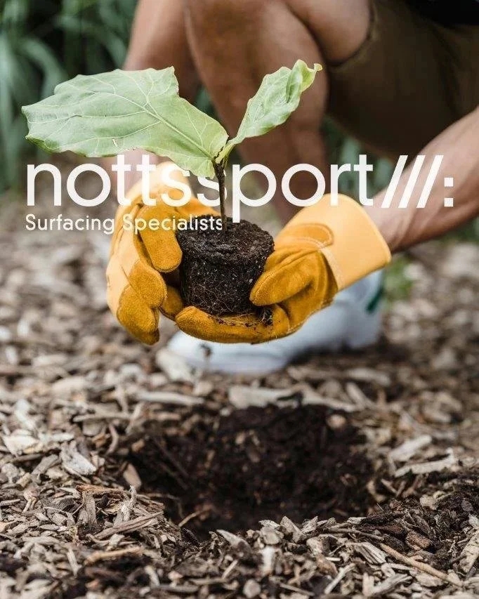 Person planting a small tree in the ground, wearing yellow gloves, with soil and mulch around.