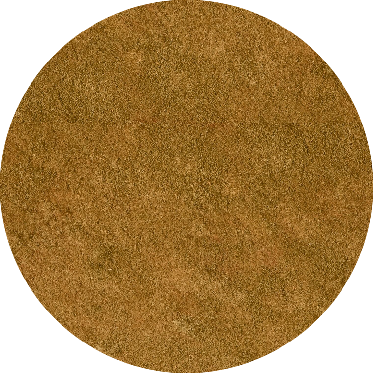 Ochre