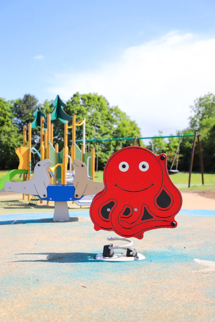 Shaw Ridge Play Park-45.jpeg