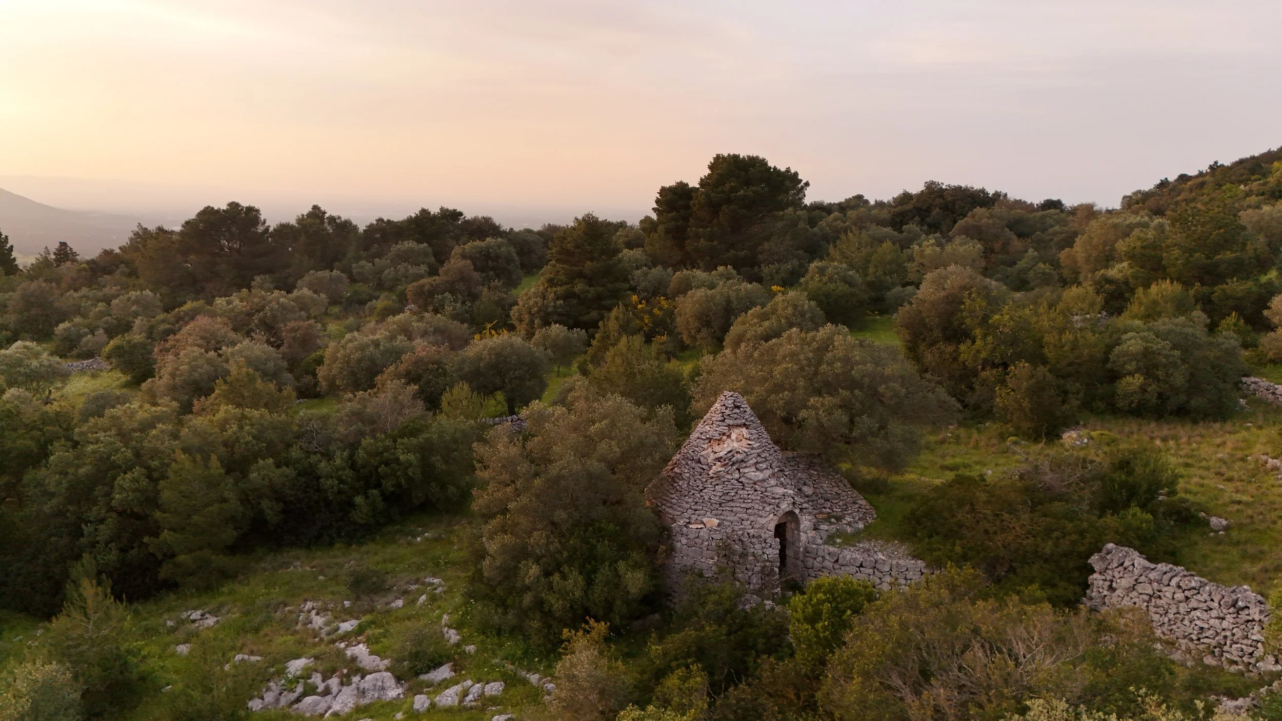 DJI_20260416191015_0093_D.jpeg