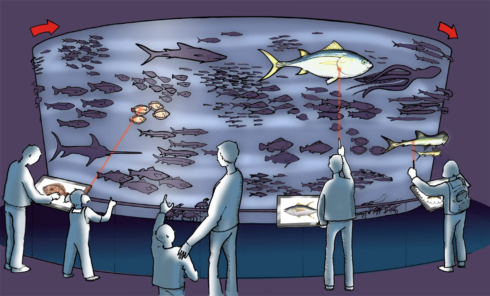 O14-FishIdentifier_flat.jpg