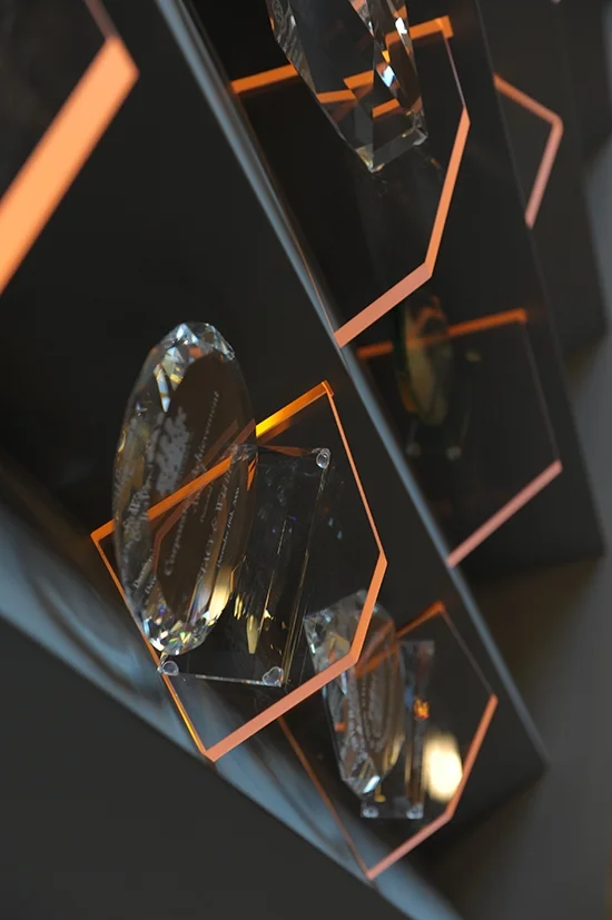 Awards display (Copy)