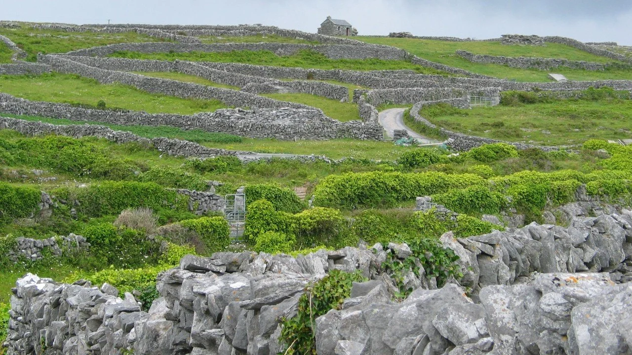 What AI Is Taking—or What We’re Giving Away