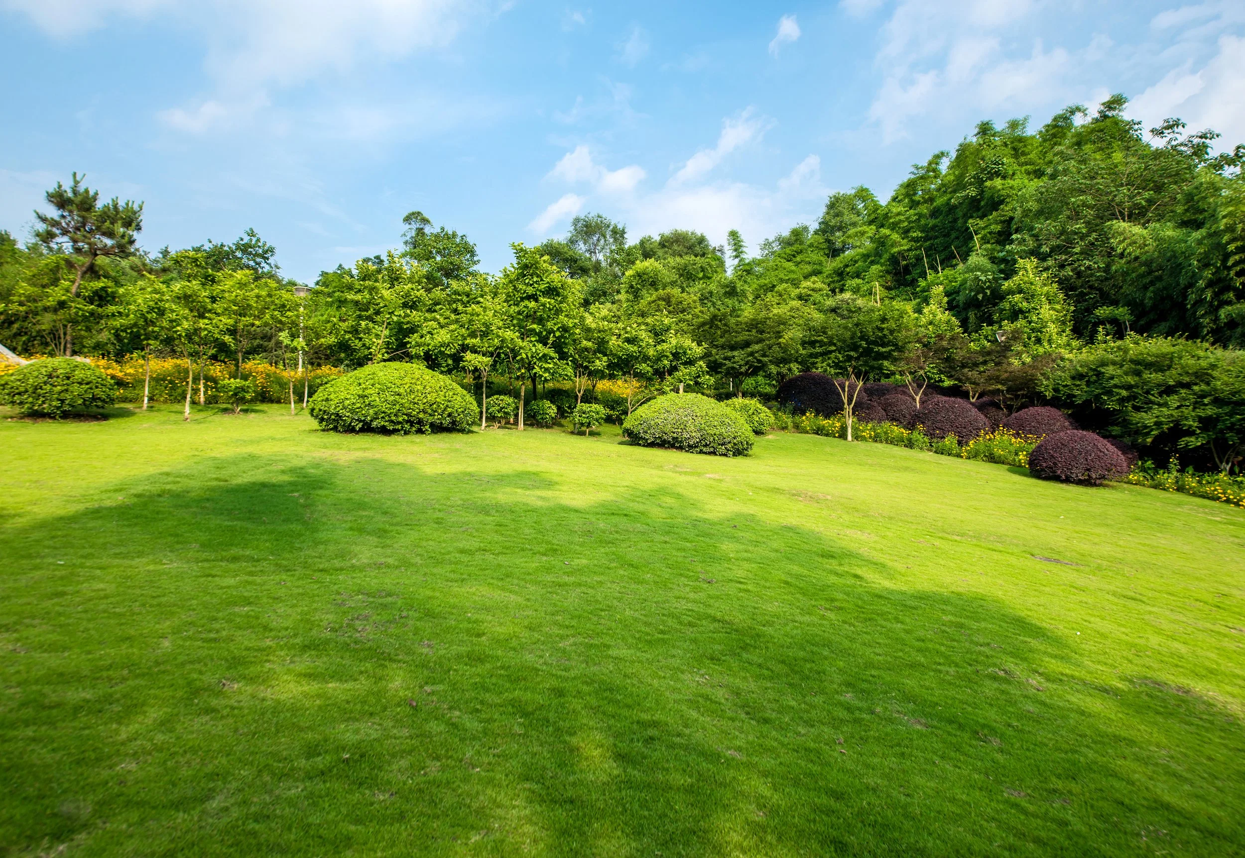 A lush green park with well-maintained grass, a variety of shrubbery, small trees, and taller trees in the background under a partly cloudy sky.