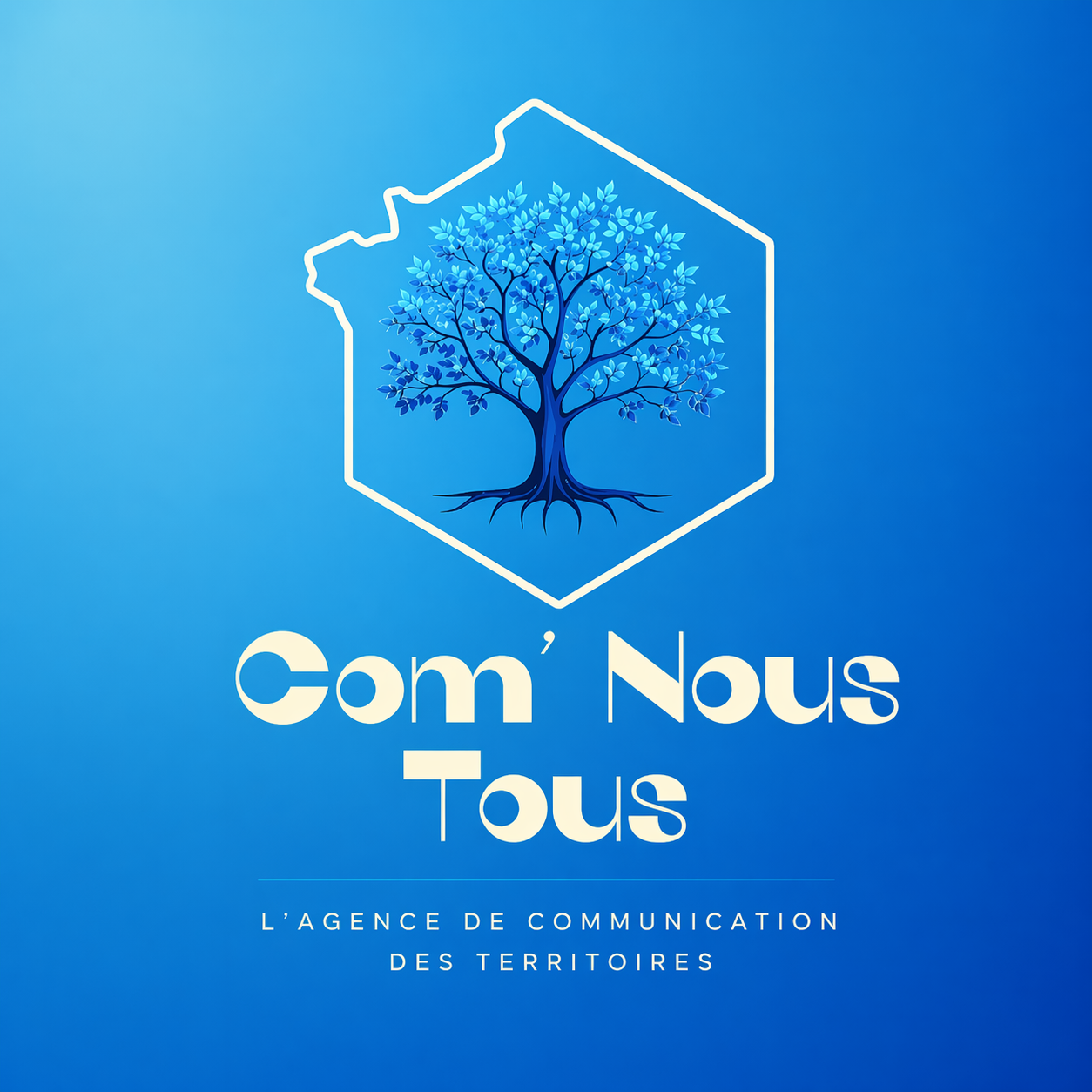 Com' Nous Tous - L'agence de communication des territoires