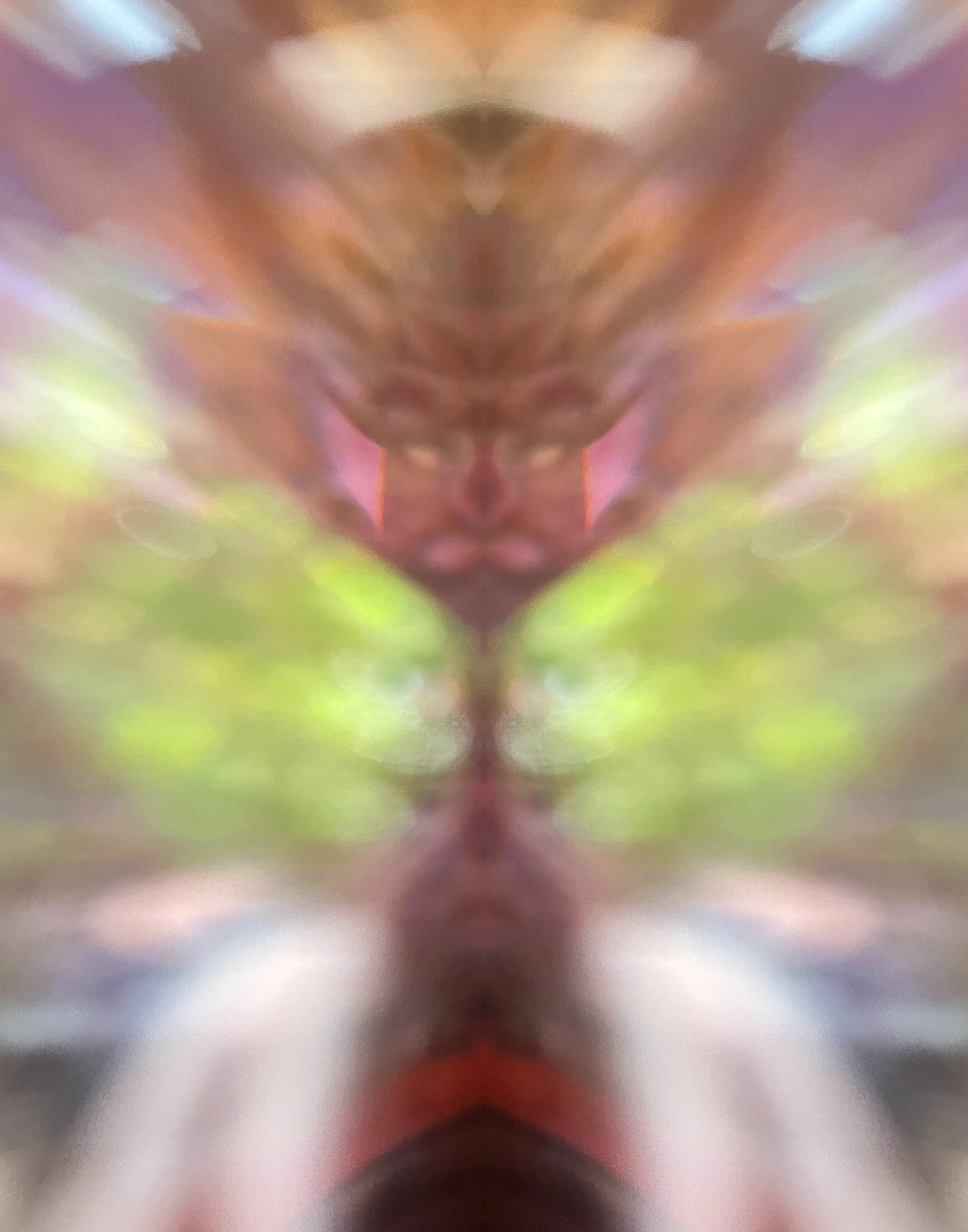 "Crystal Shaman"