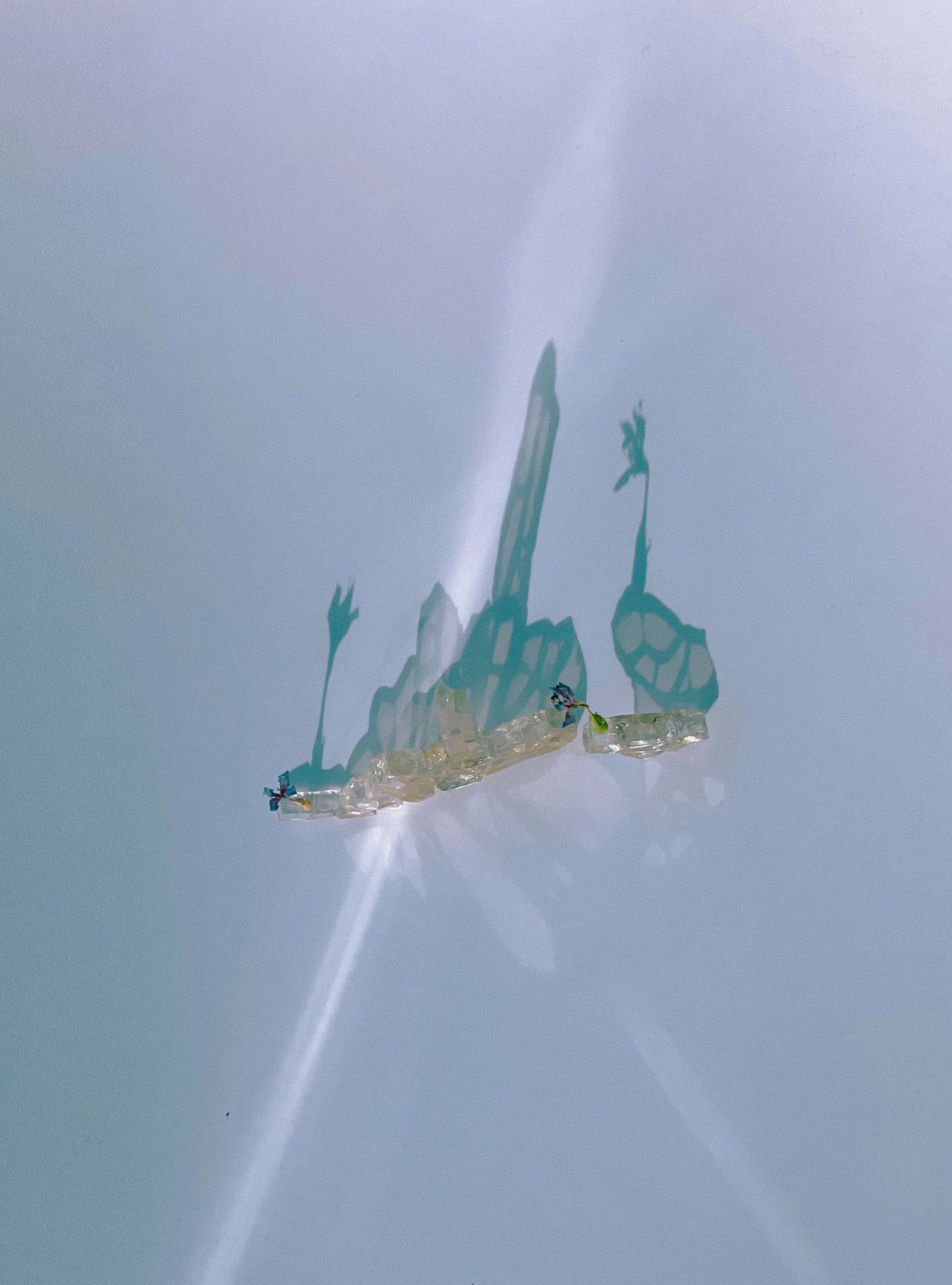 glass verticle 1.jpg