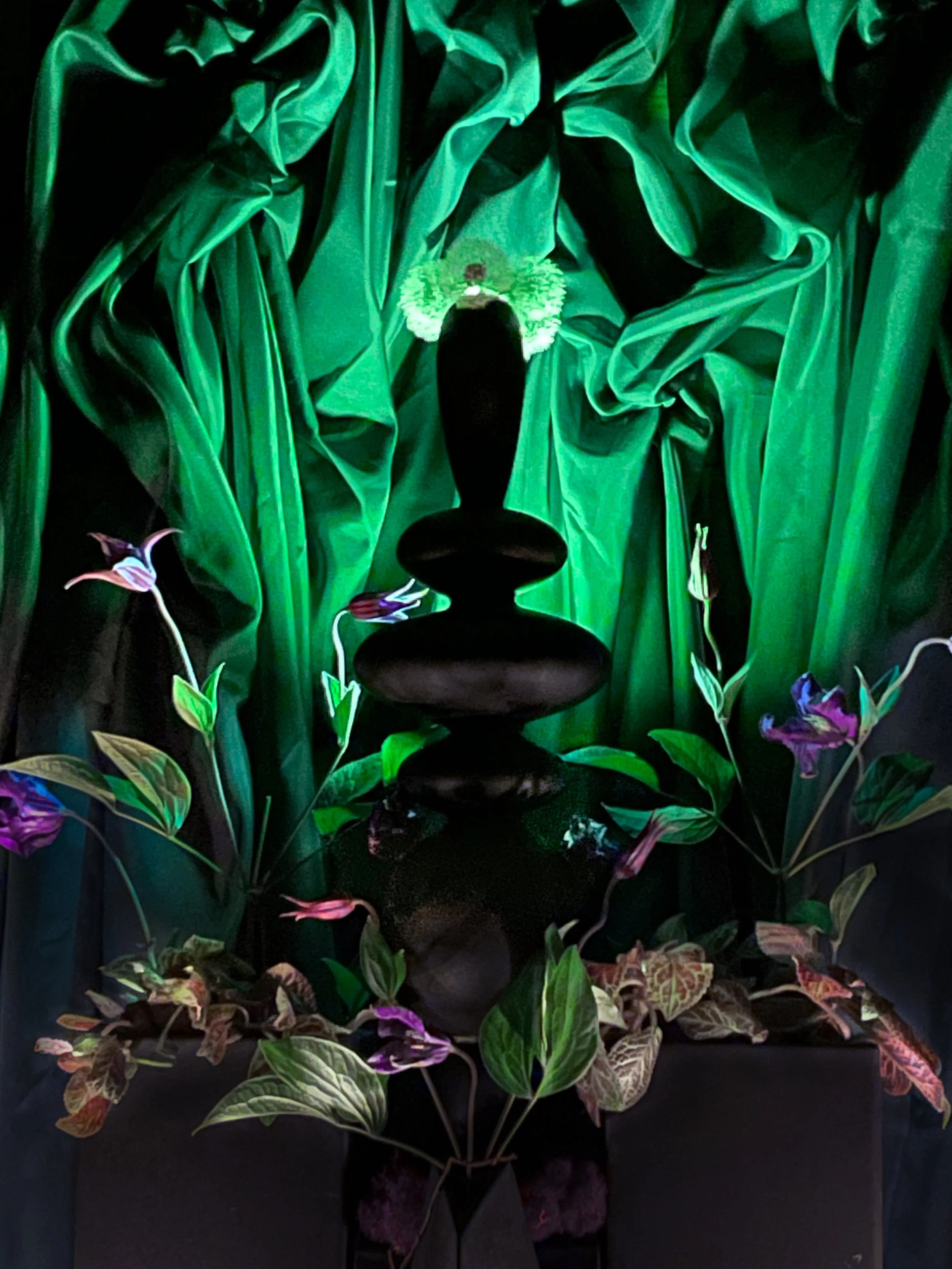beltane22night2.jpg