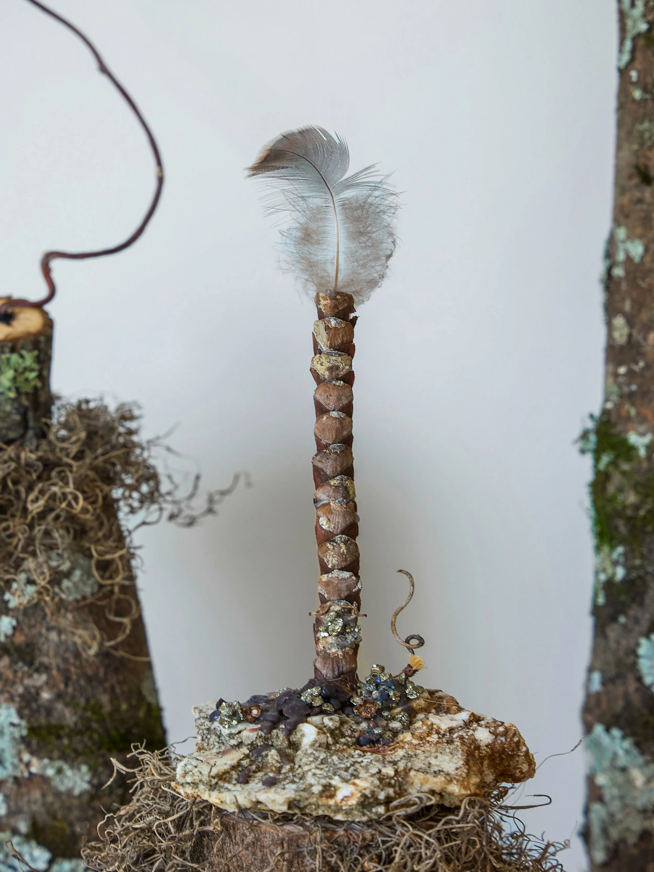nature install 4.jpg