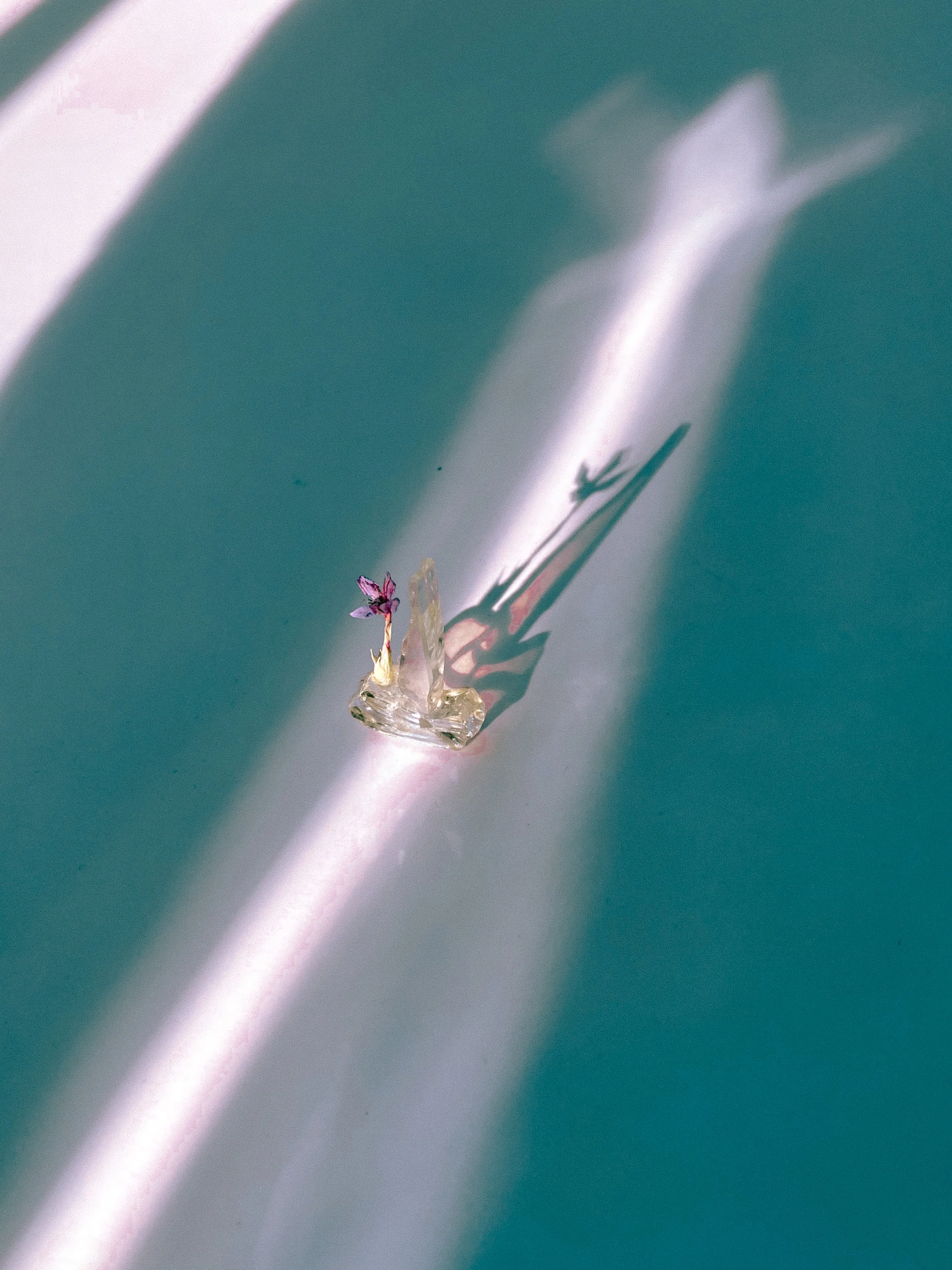 glass verticle 6.jpg