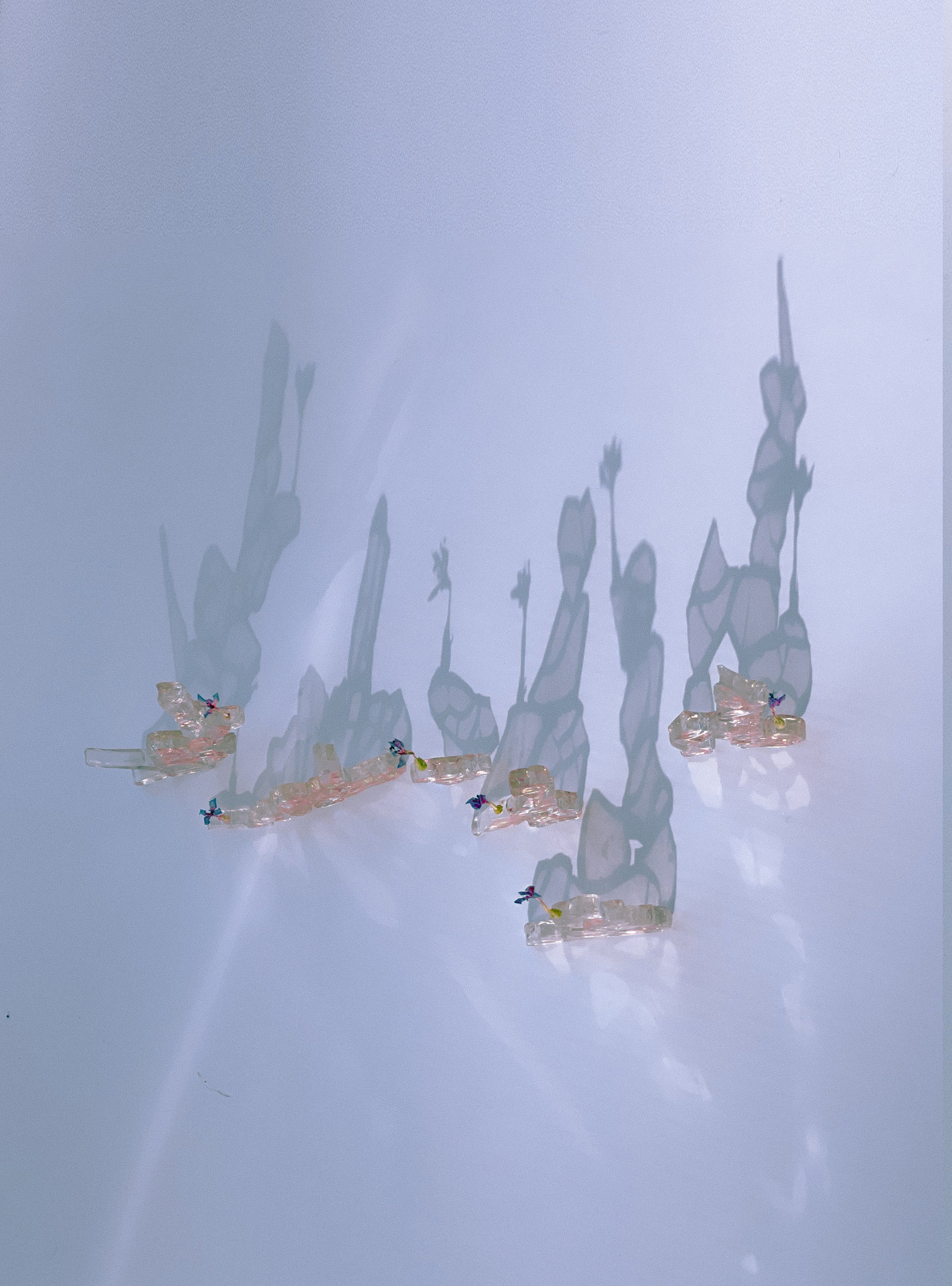 glass verticle 2.jpg