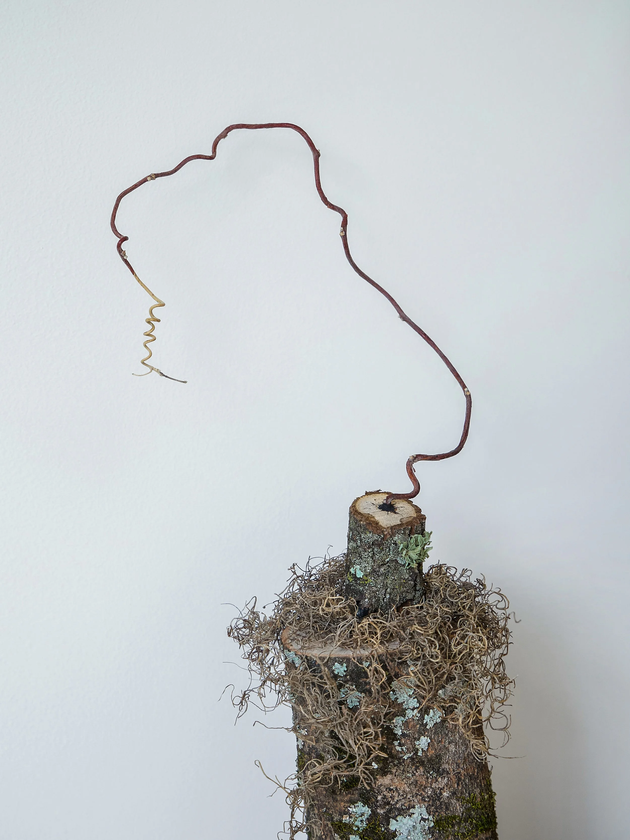 nature install 3.jpg