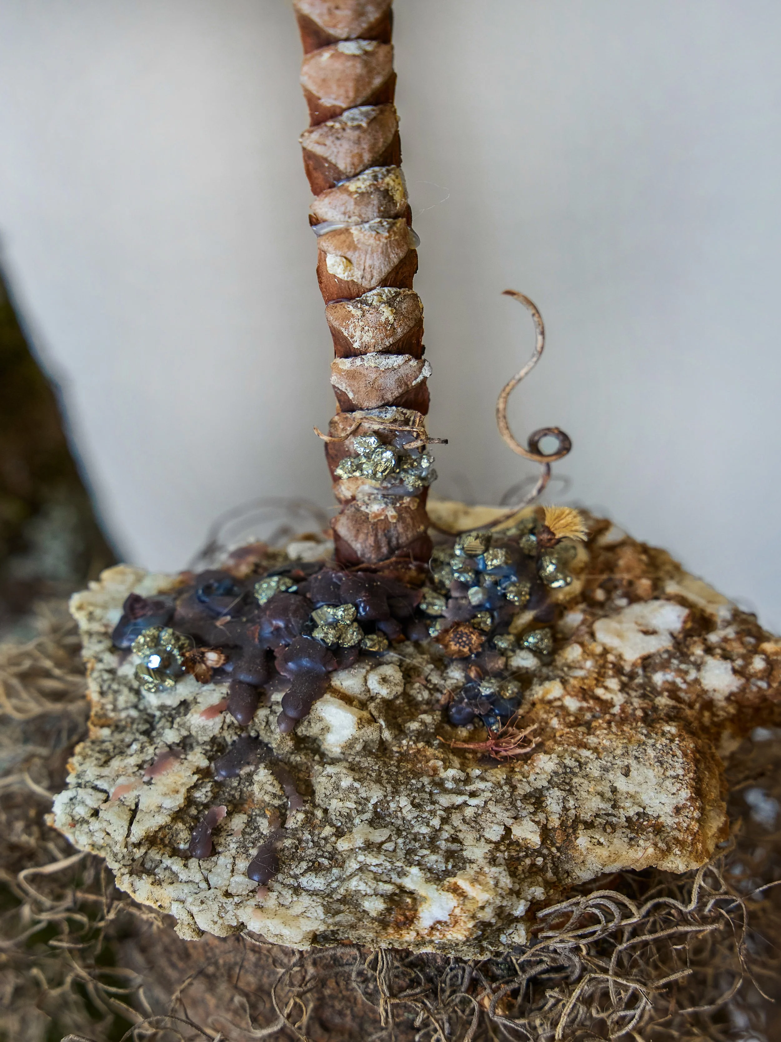 nature install 8.jpg