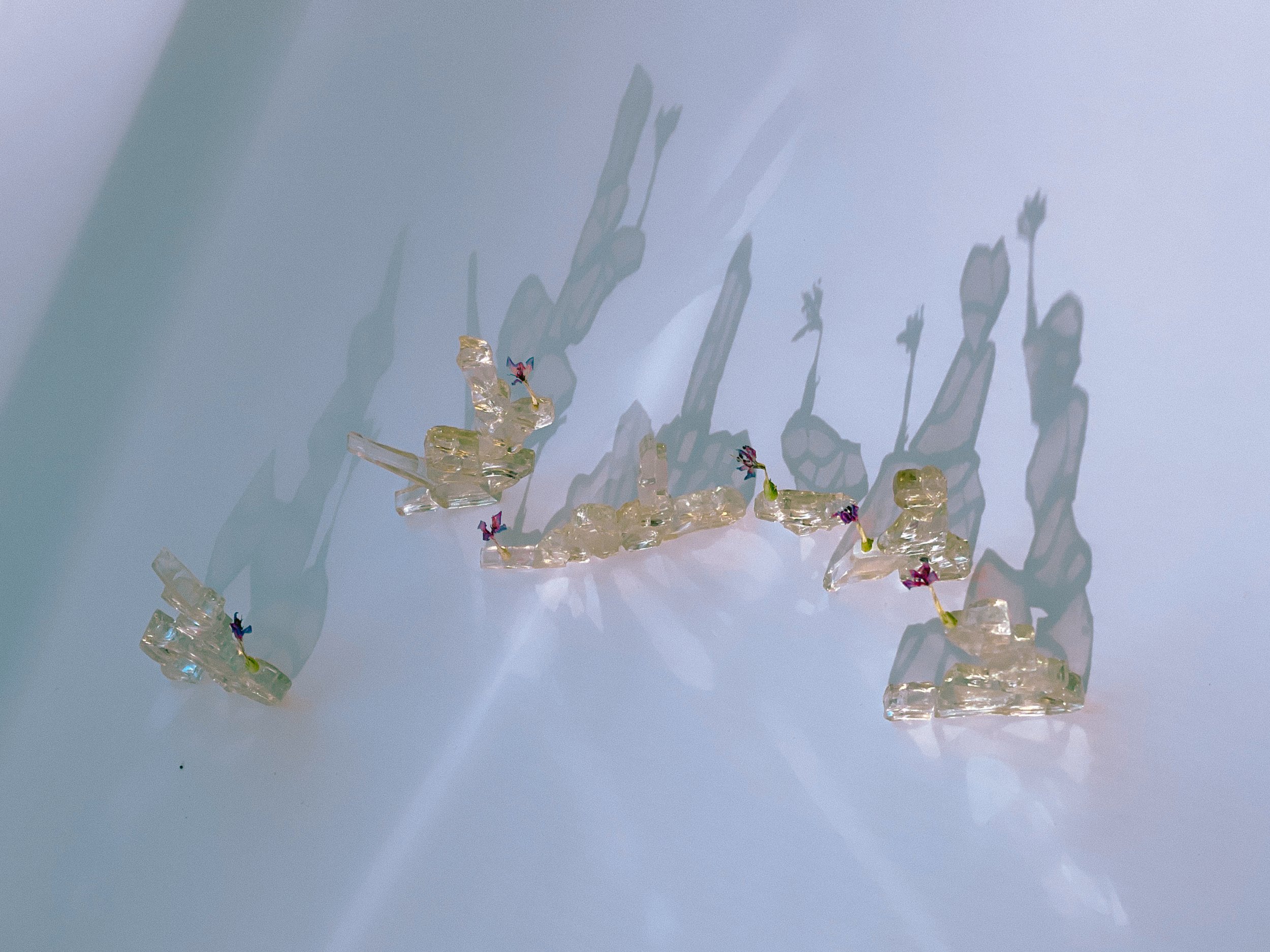 glass horozontal 5.jpg