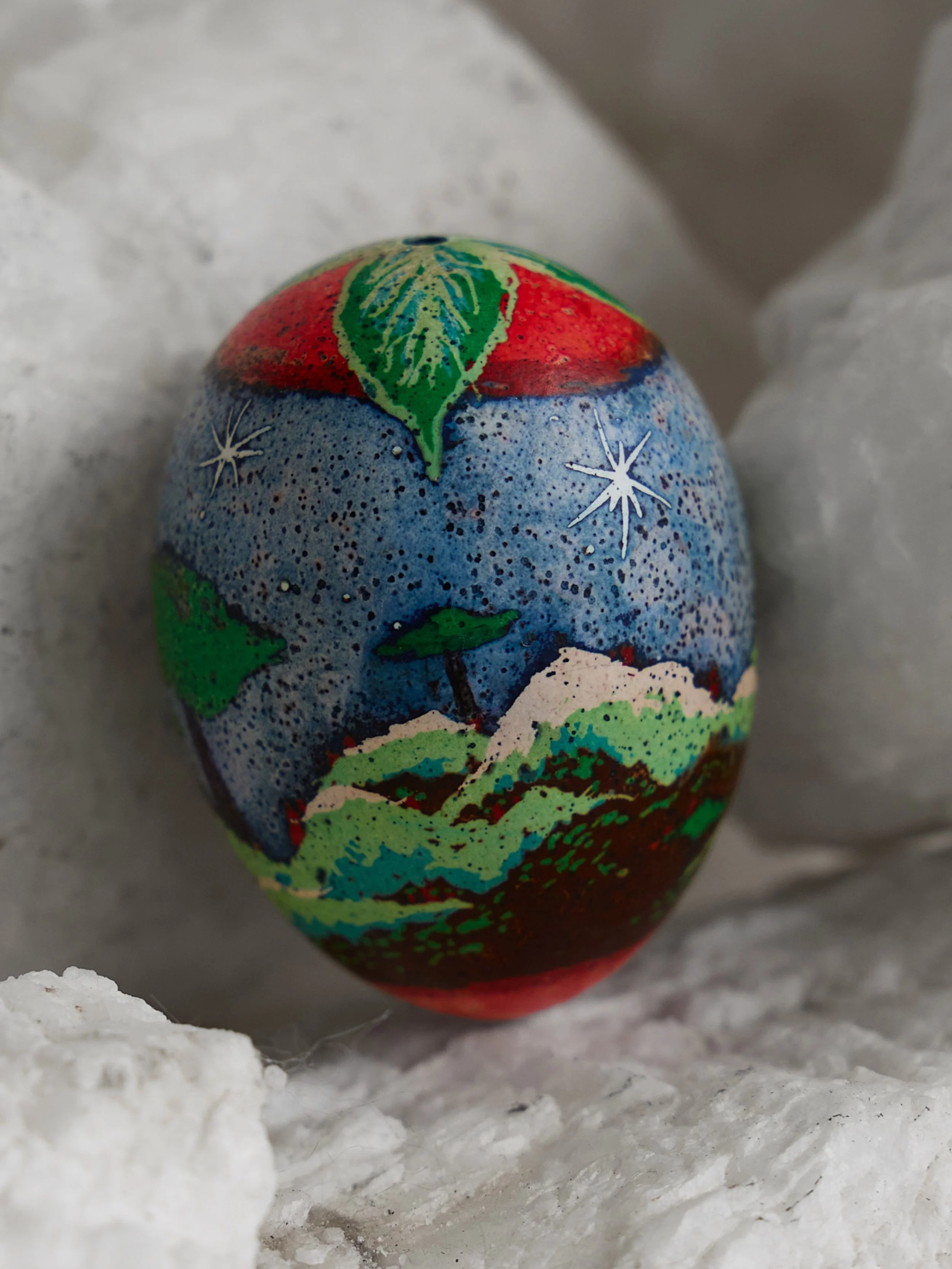 my son... 5.jpg