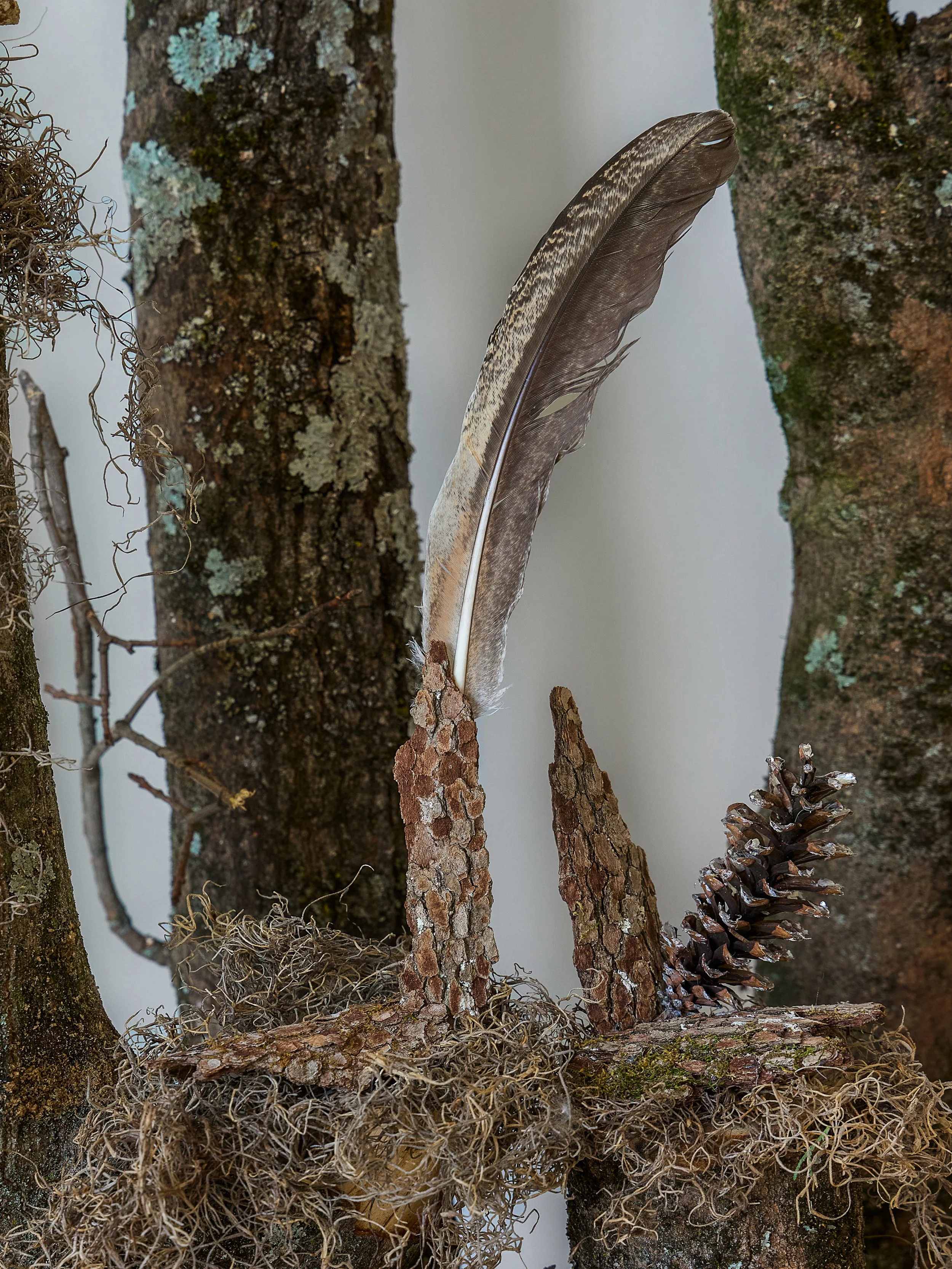 nature install 2.jpg