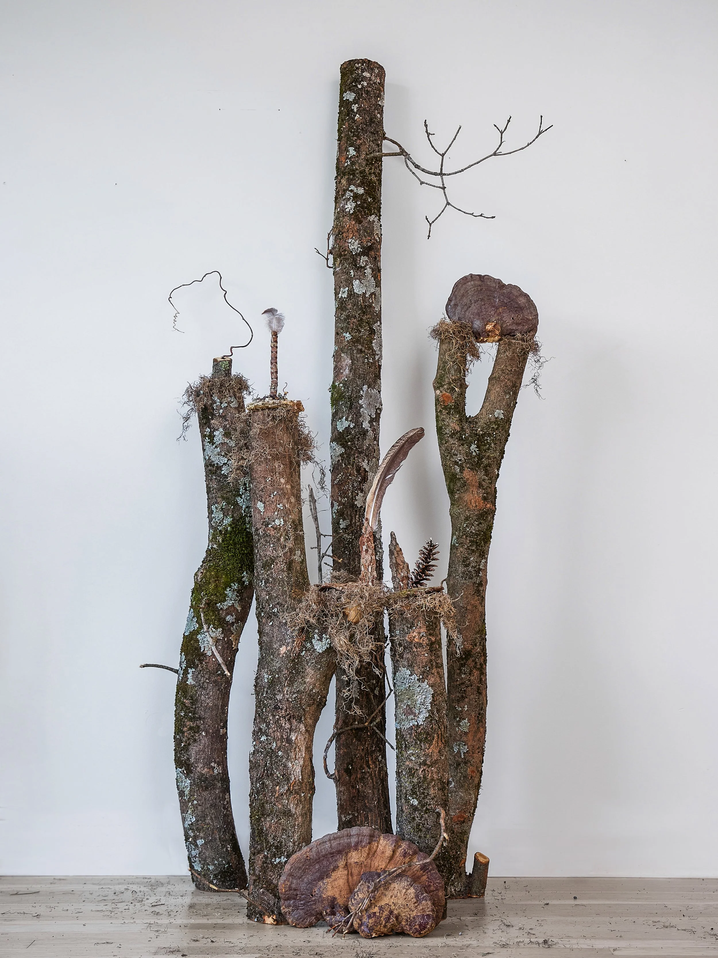 nature install 6.jpg