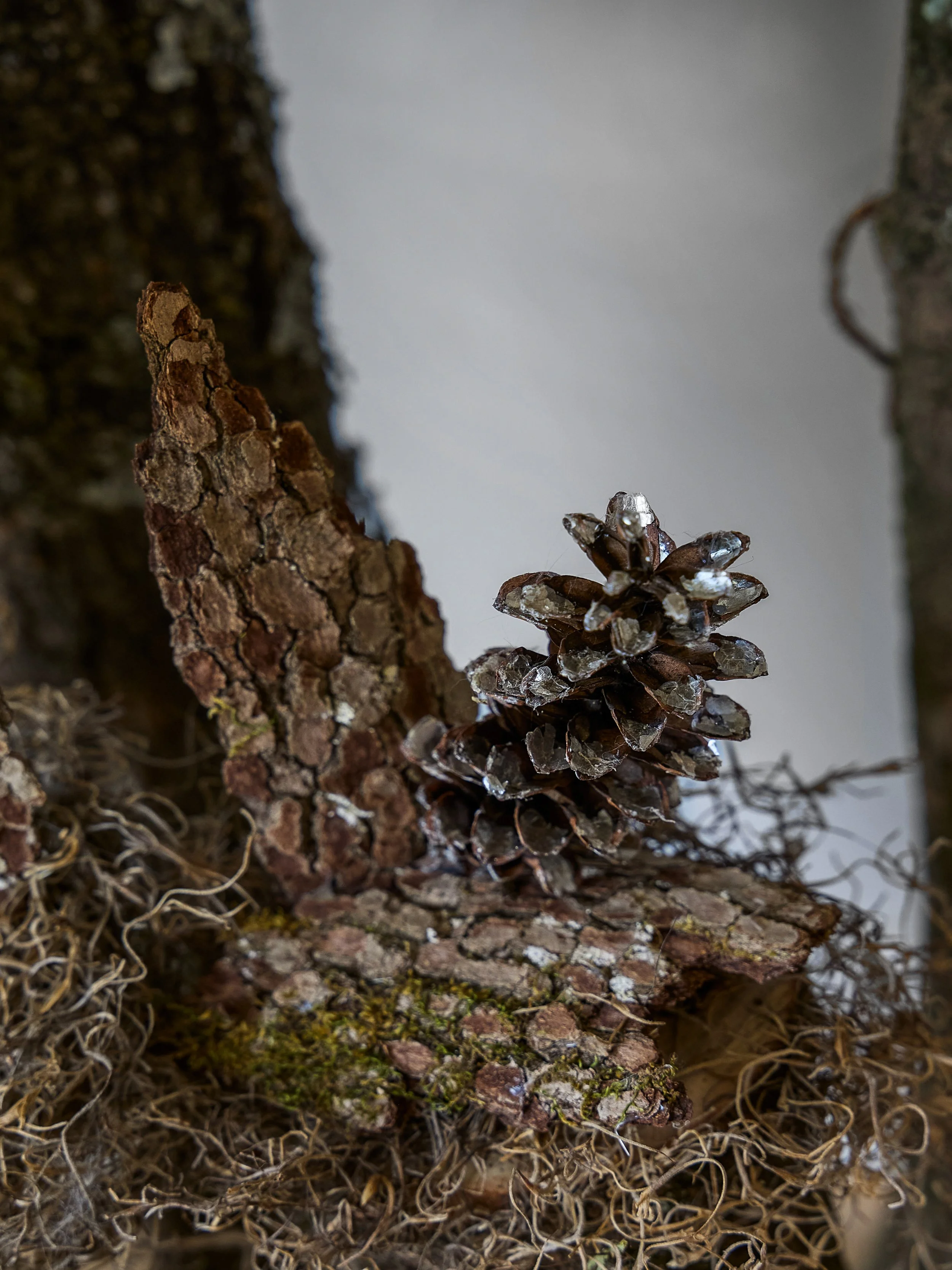 nature install 1.jpg