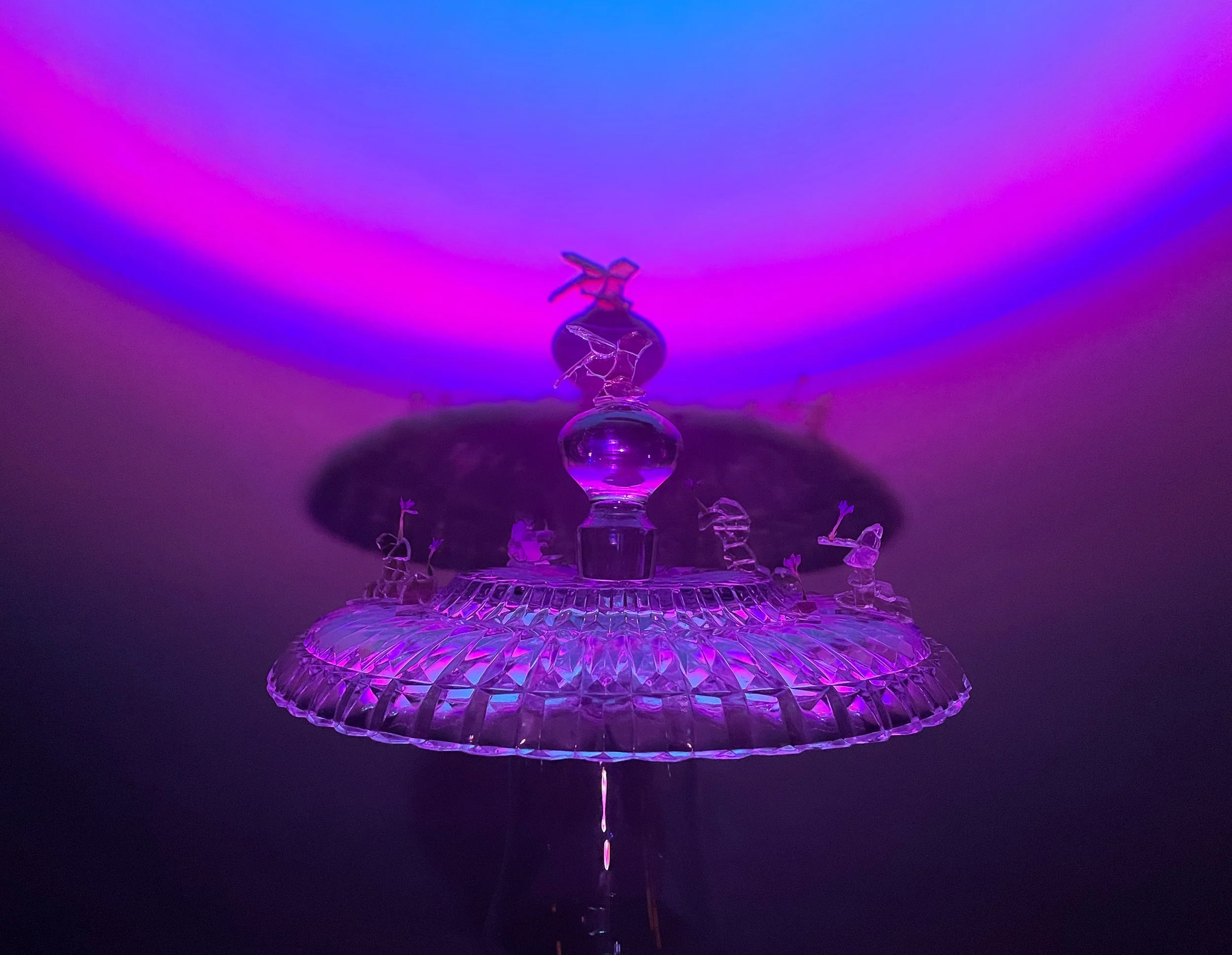 iridescence 54-2.jpg