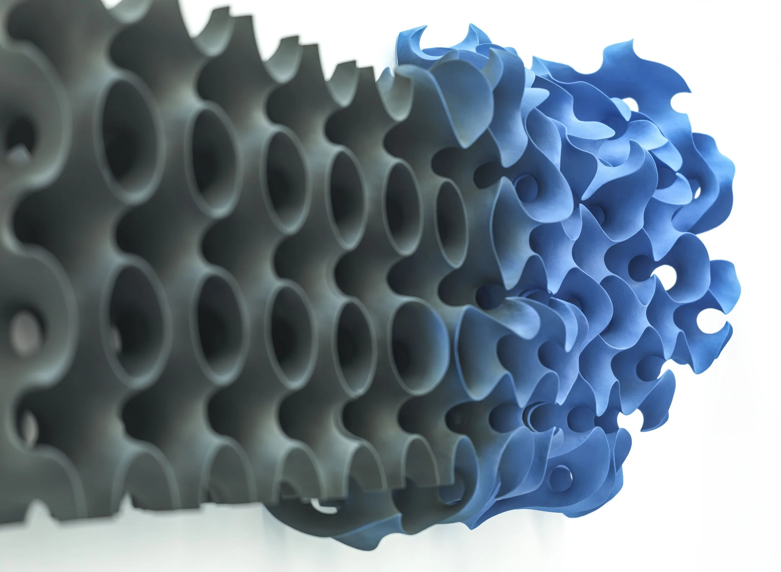 Morphogenesis, detail, wall mounted, 90 x 226 x 40 cm *
