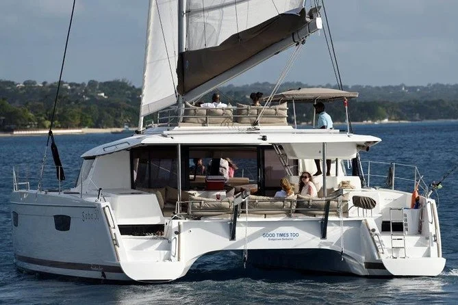 Goodtimes Catamaran Large boat