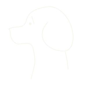Anxious pet?
