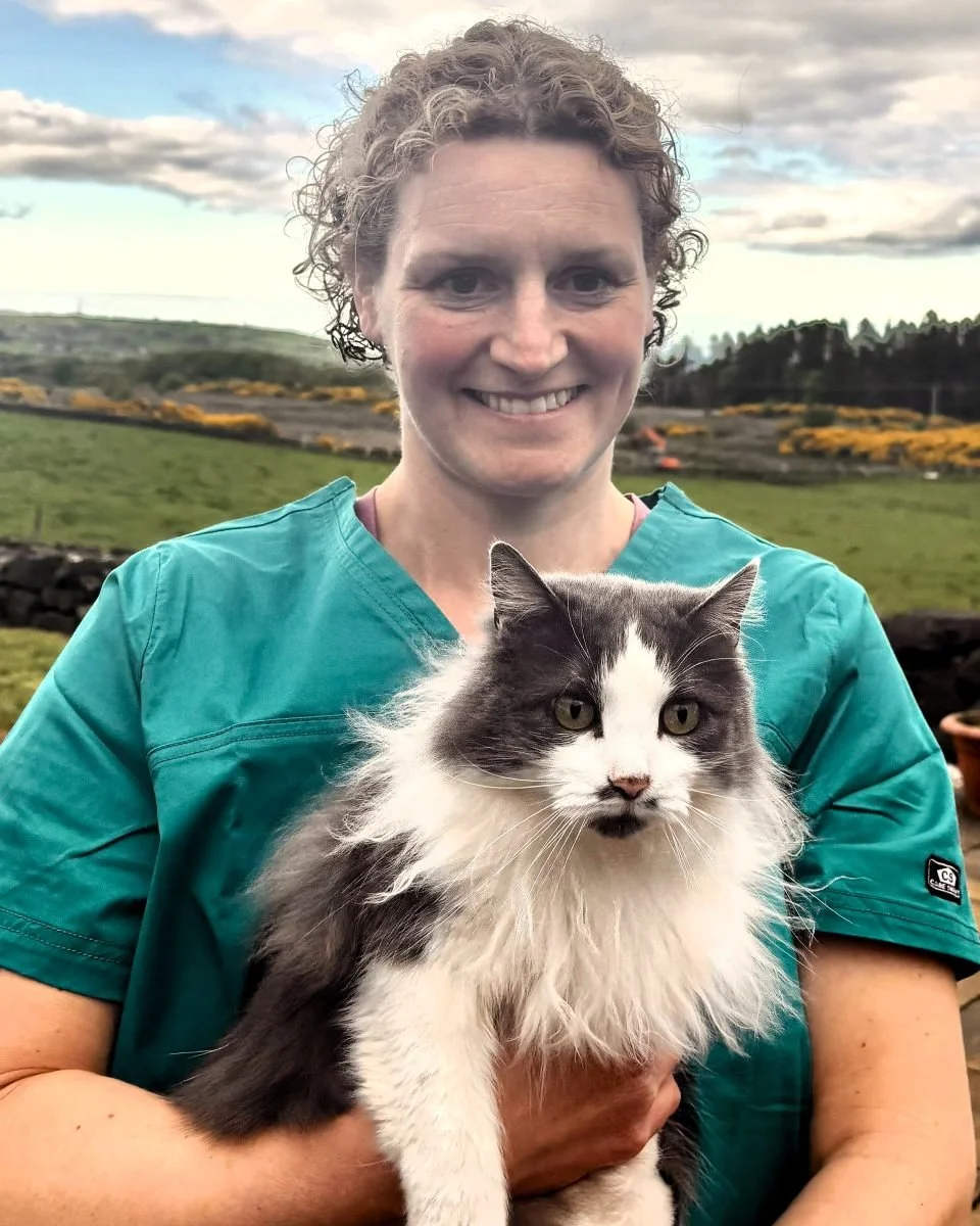 Mobile Vet Service Helen Tweed at home with her cat