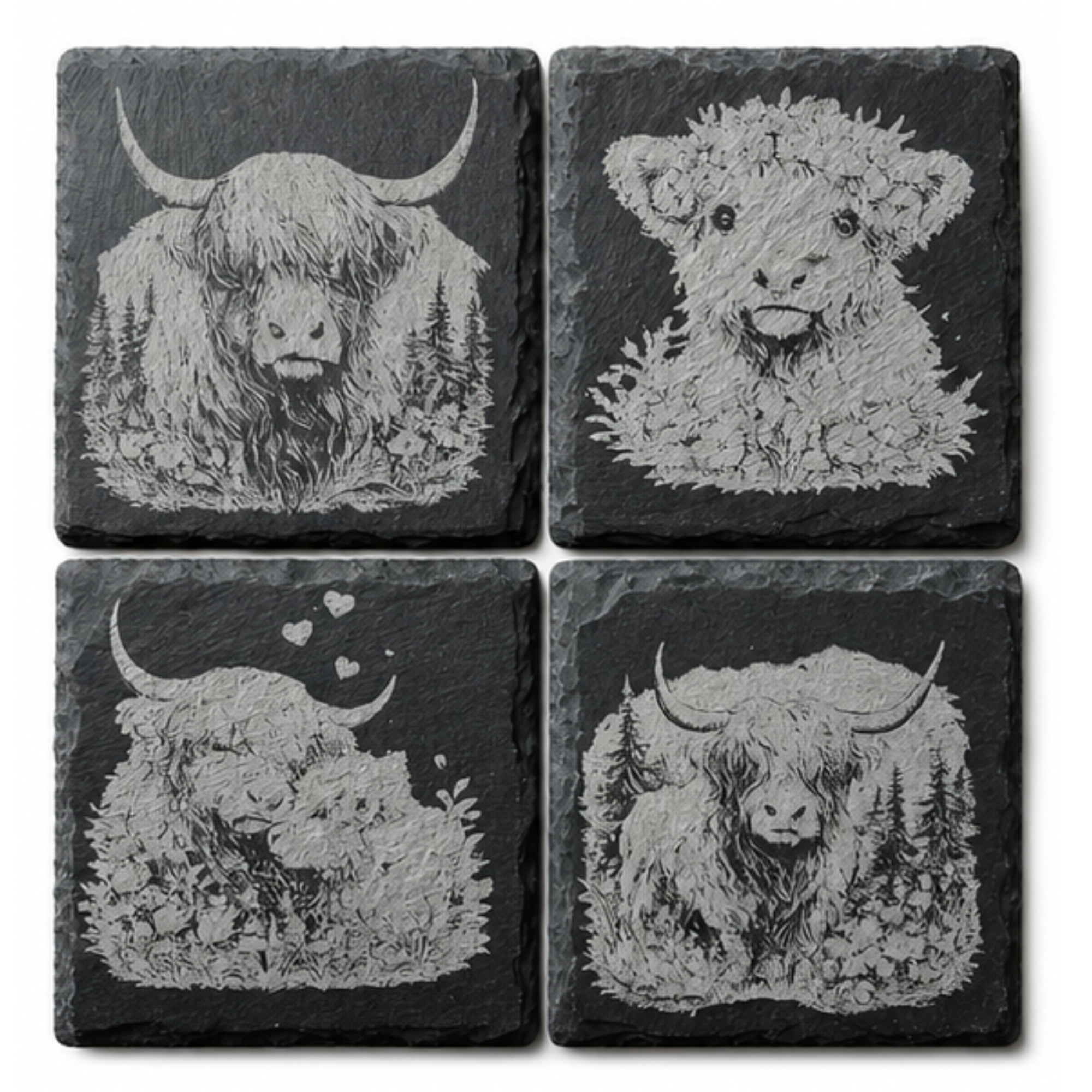 Engraved Highland Cow Coasters (4 Pack)