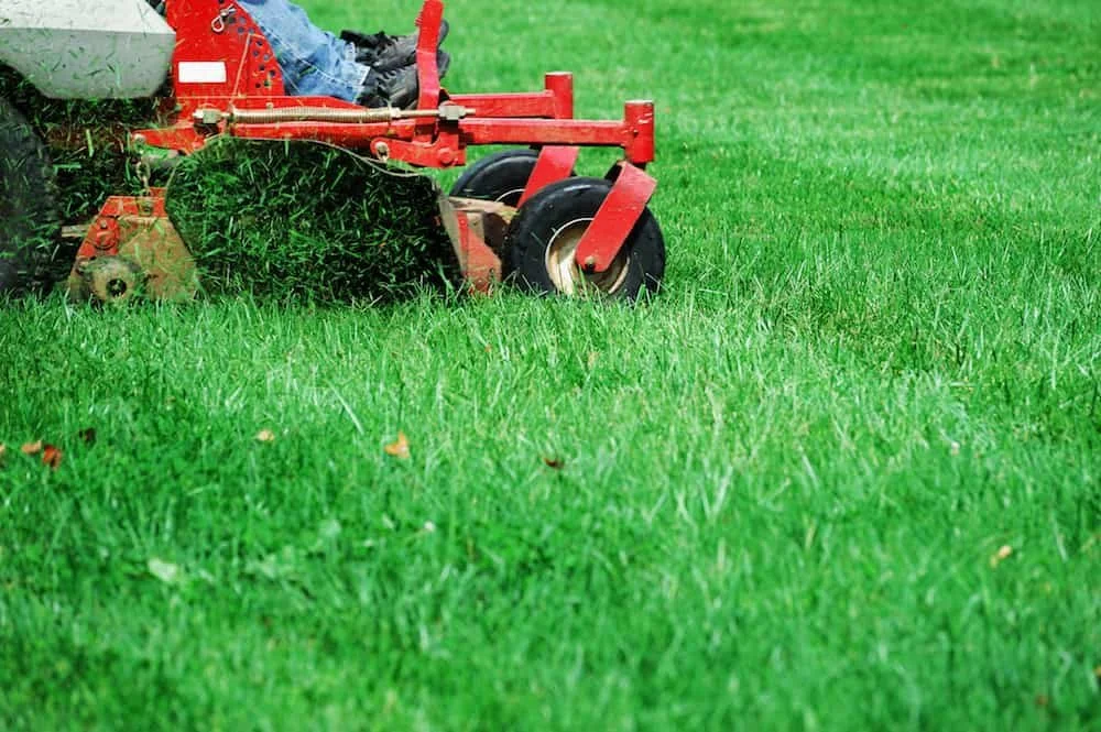A red lawn mower with black wheels trimming a green grassy lawn.