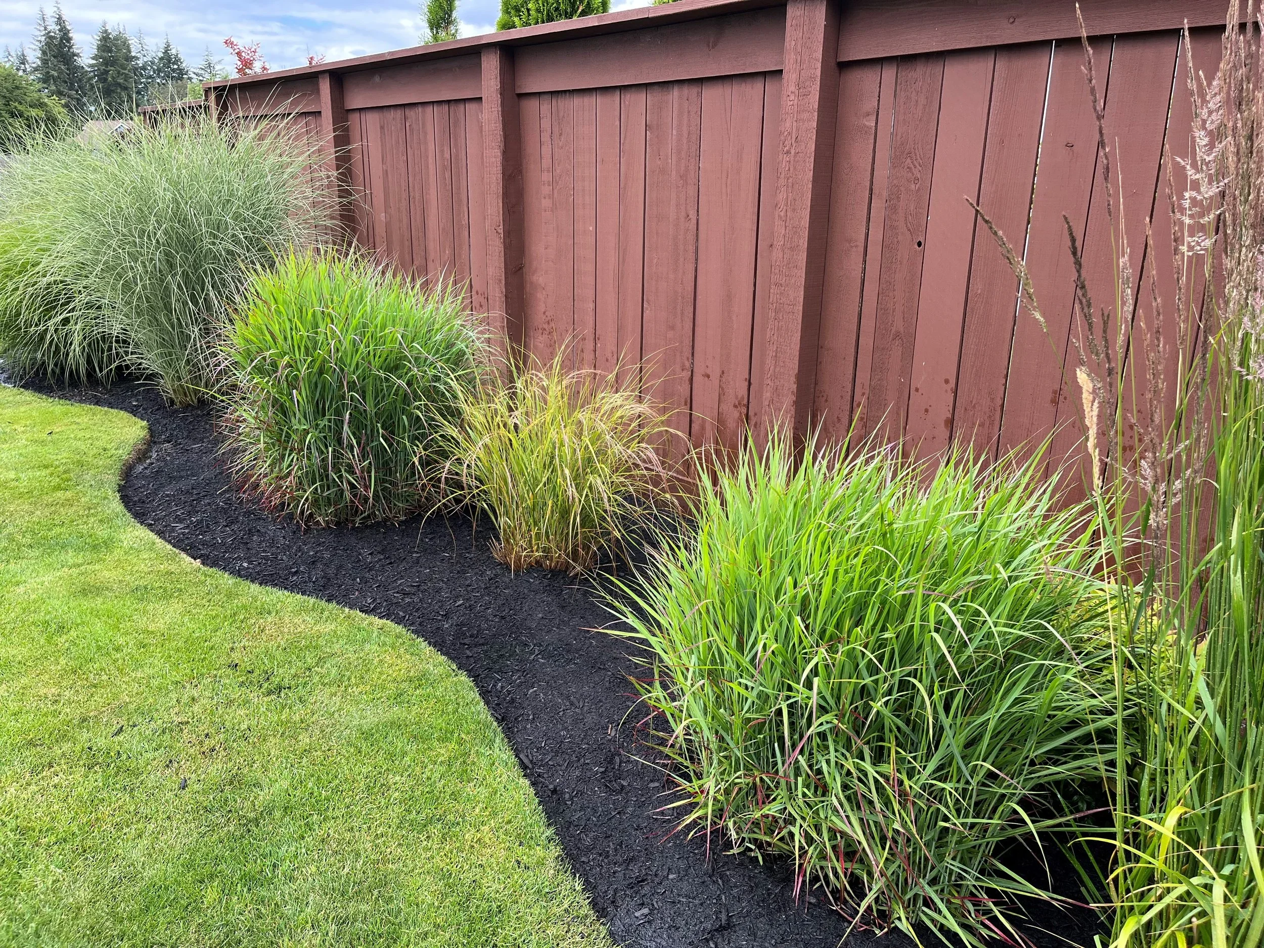 A backyard with a red wooden fence, green grass, and decorative plants with mulch along the fence line.