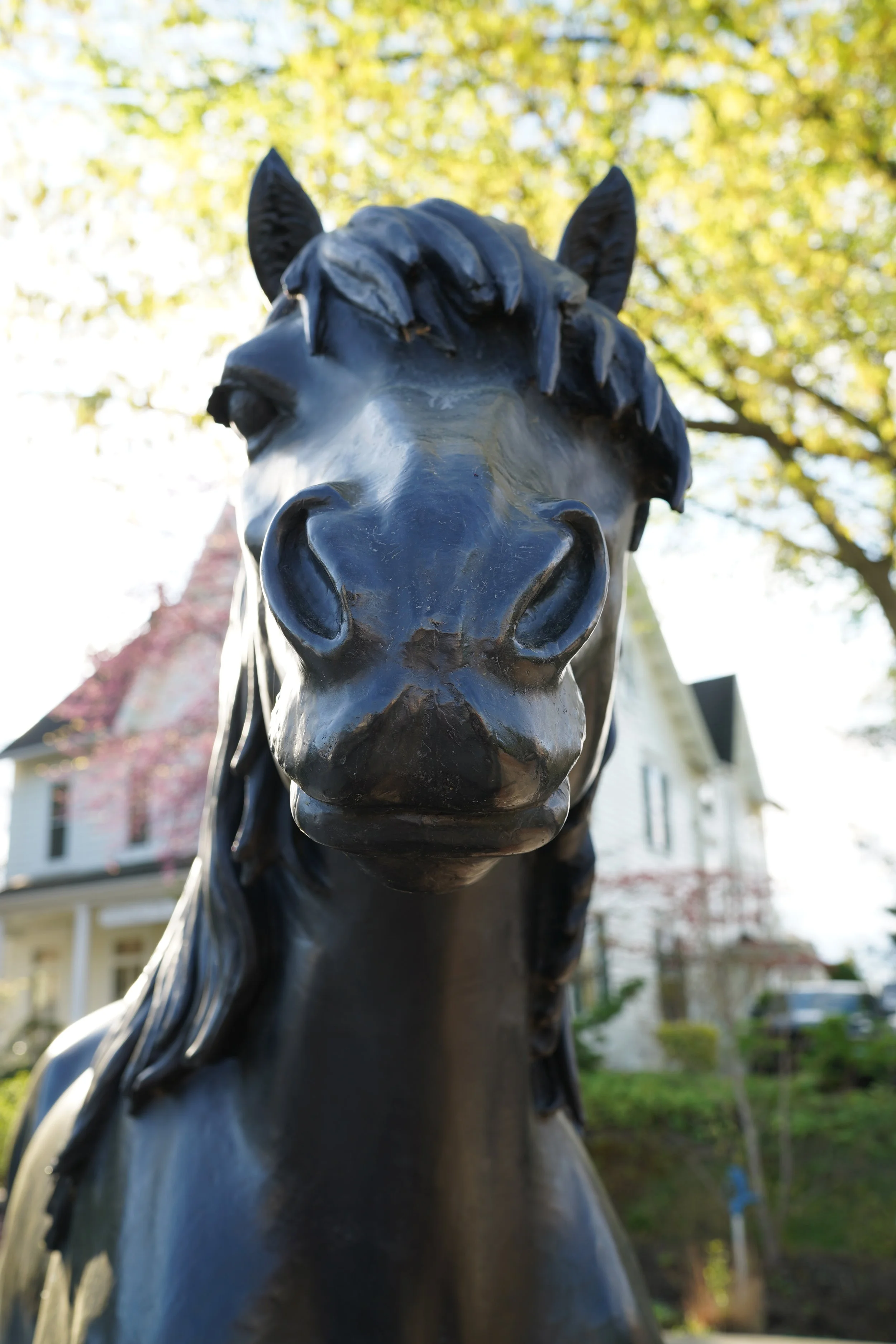 Close-up of a black metal horse statue's head with a blurred background of trees and a house on a sunny day.
