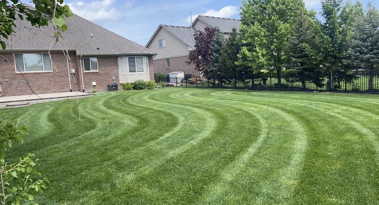 A backyard with freshly mowed, striped green grass, brick house, trees, and a black metal fence.